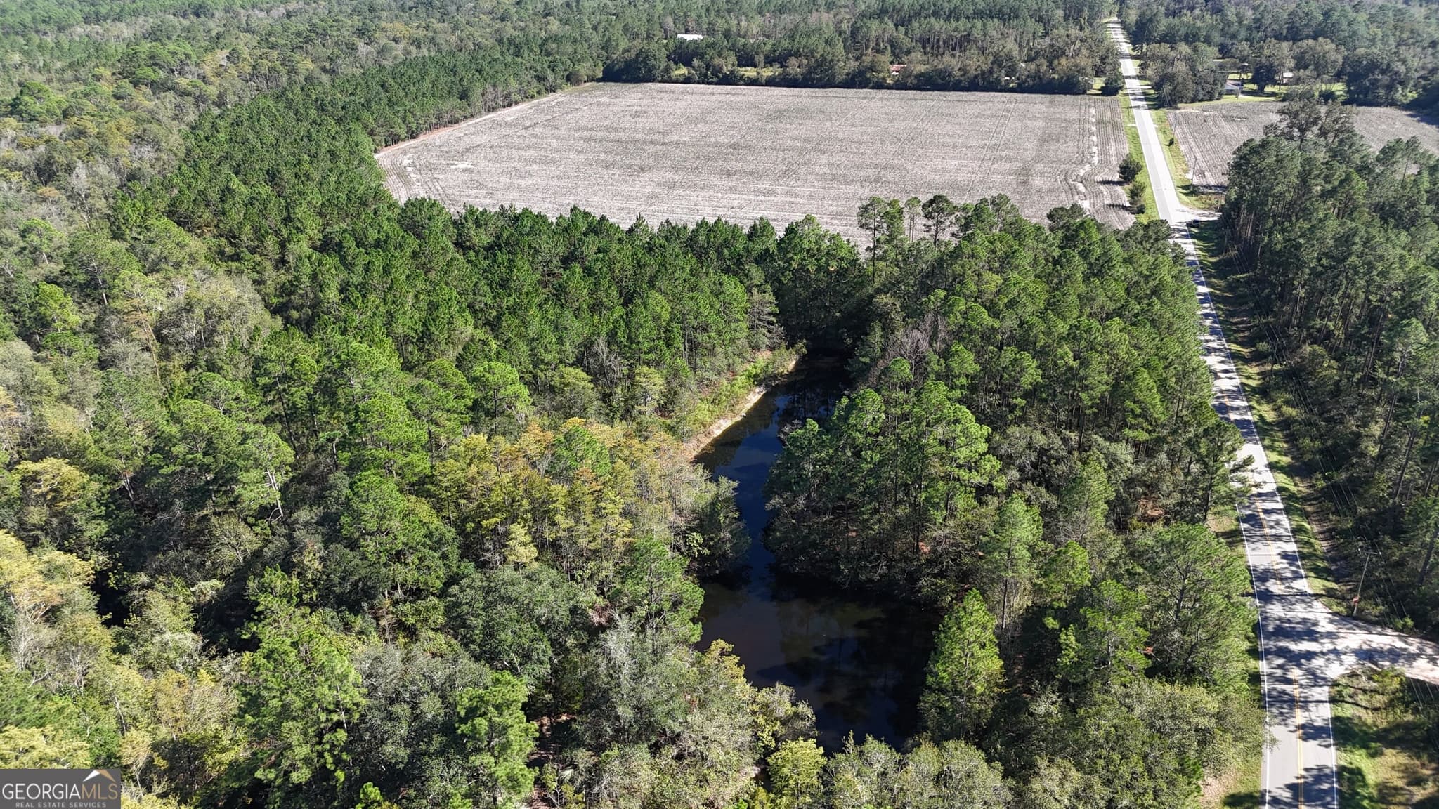 unimproved land for sale at 4404 Manor Millwood Road, Manor, GA 31550 — photo 9