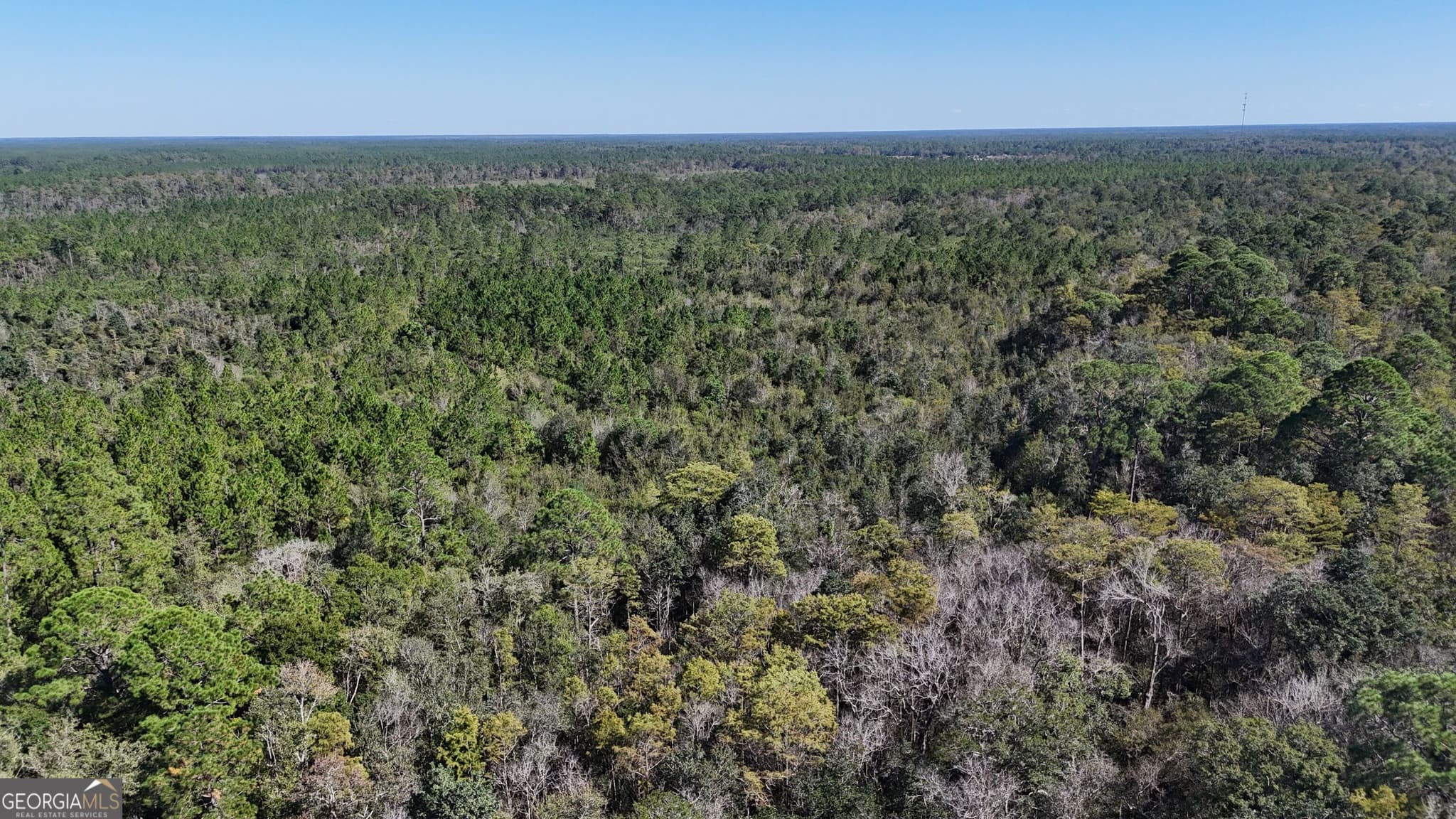 unimproved land for sale at 4404 Manor Millwood Road, Manor, GA 31550 — photo 4