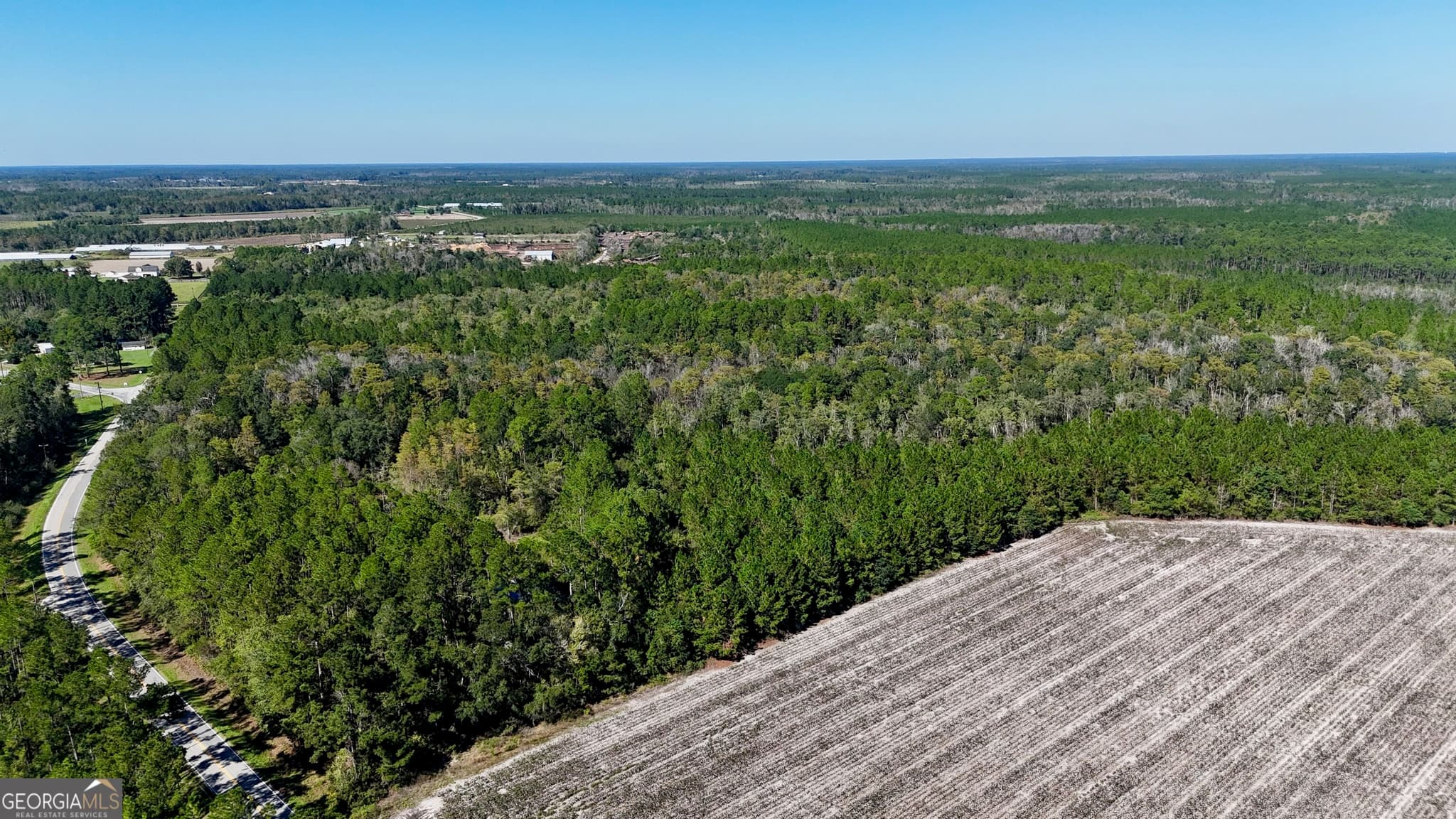 unimproved land for sale at 4404 Manor Millwood Road, Manor, GA 31550 — photo 8