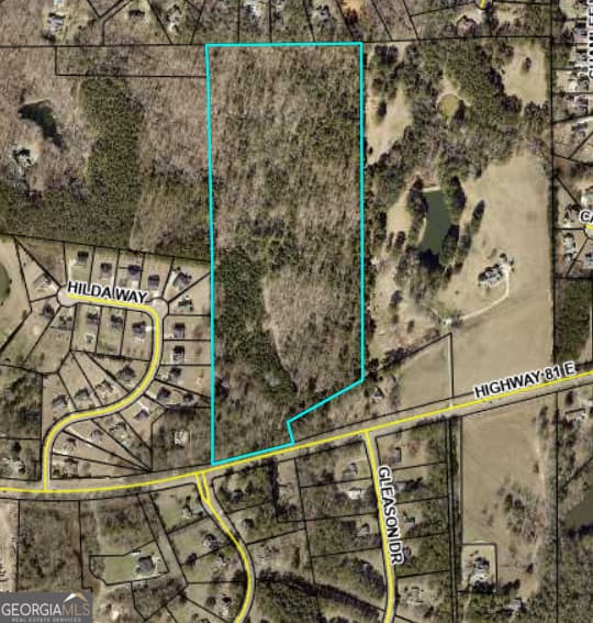 unimproved land for sale at 0 Highway 81 East, Mcdonough, GA 30252 — photo 1 of 1