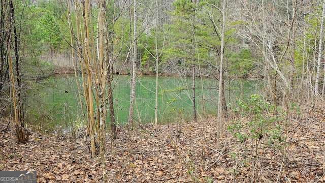 residential lot for sale at 0 Bannockburn Circle 15, Clayton, GA 30525 — photo 5