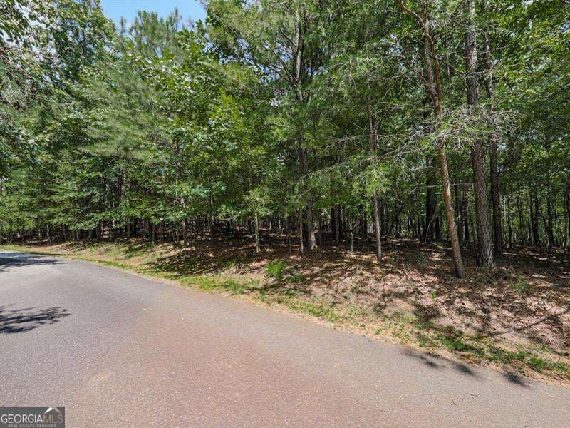 agriculture for sale at 140 Joe Green Lane, Canton, GA 30114 — photo 5