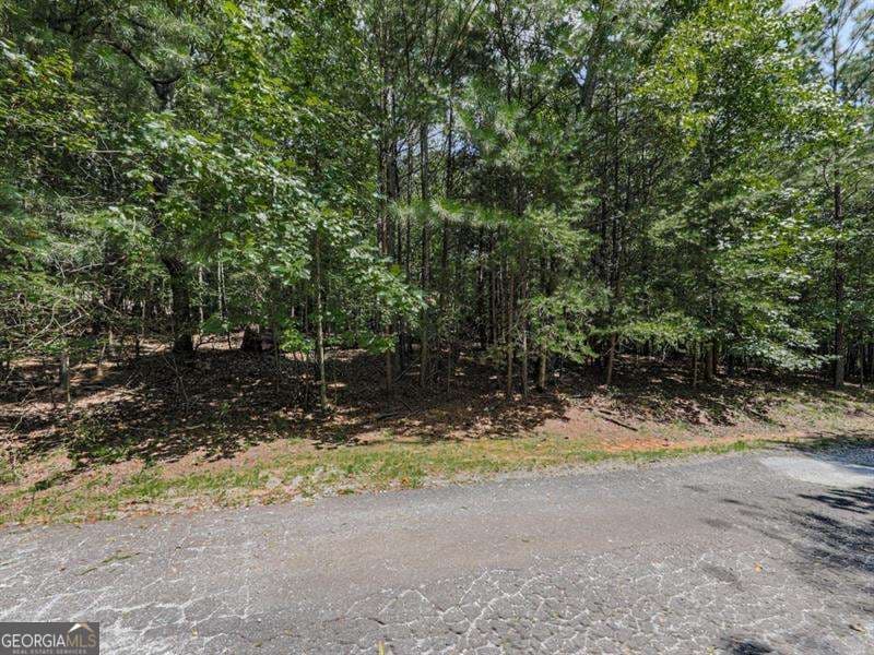 agriculture for sale at 140 Joe Green Lane, Canton, GA 30114 — photo 4