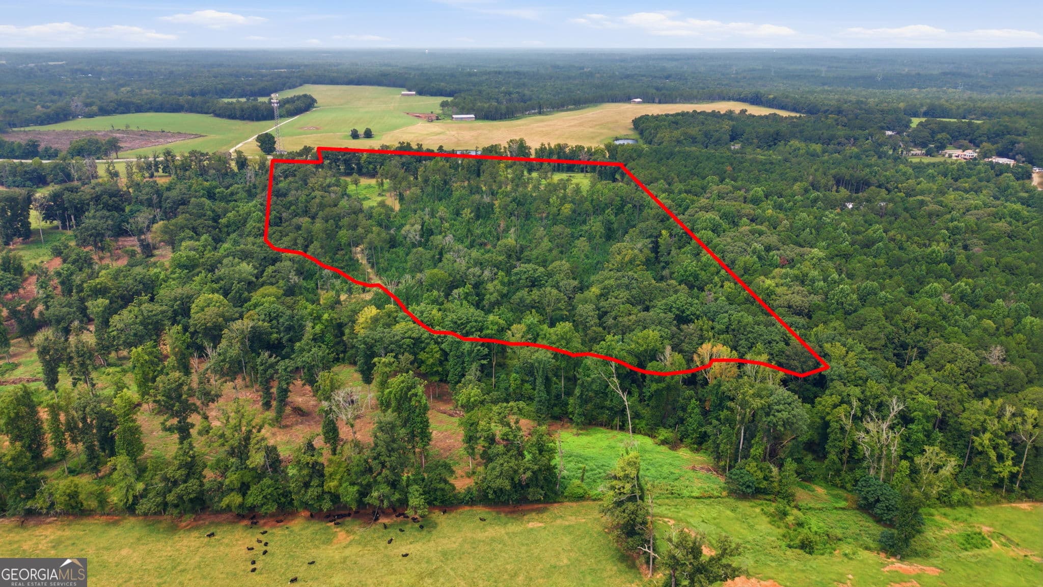 estate lot for sale at 0 TRACT 1 Greensoboro Road, Eatonton, GA 31024 — photo 10