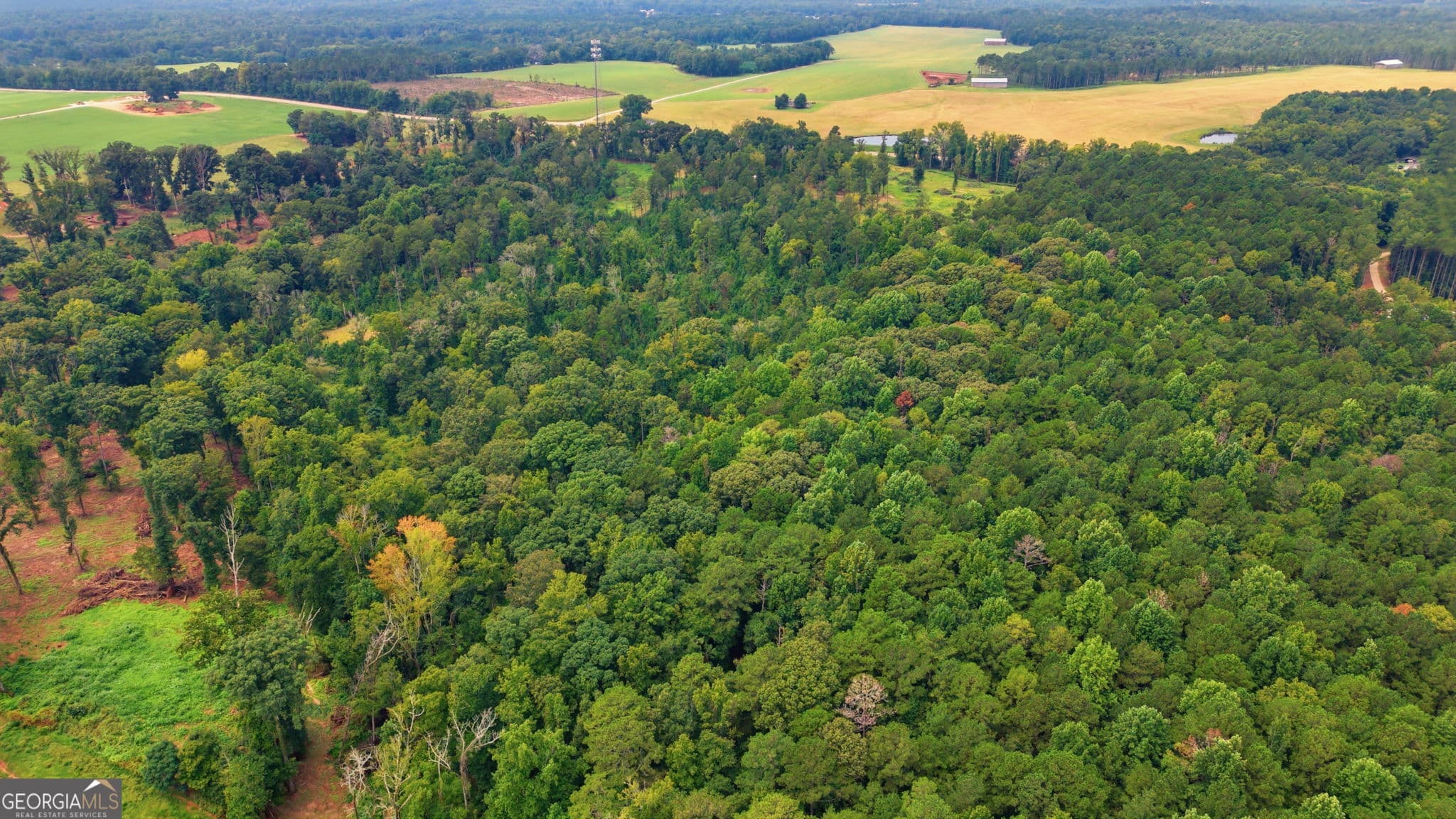 estate lot for sale at 0 TRACT 1 Greensoboro Road, Eatonton, GA 31024 — photo 8