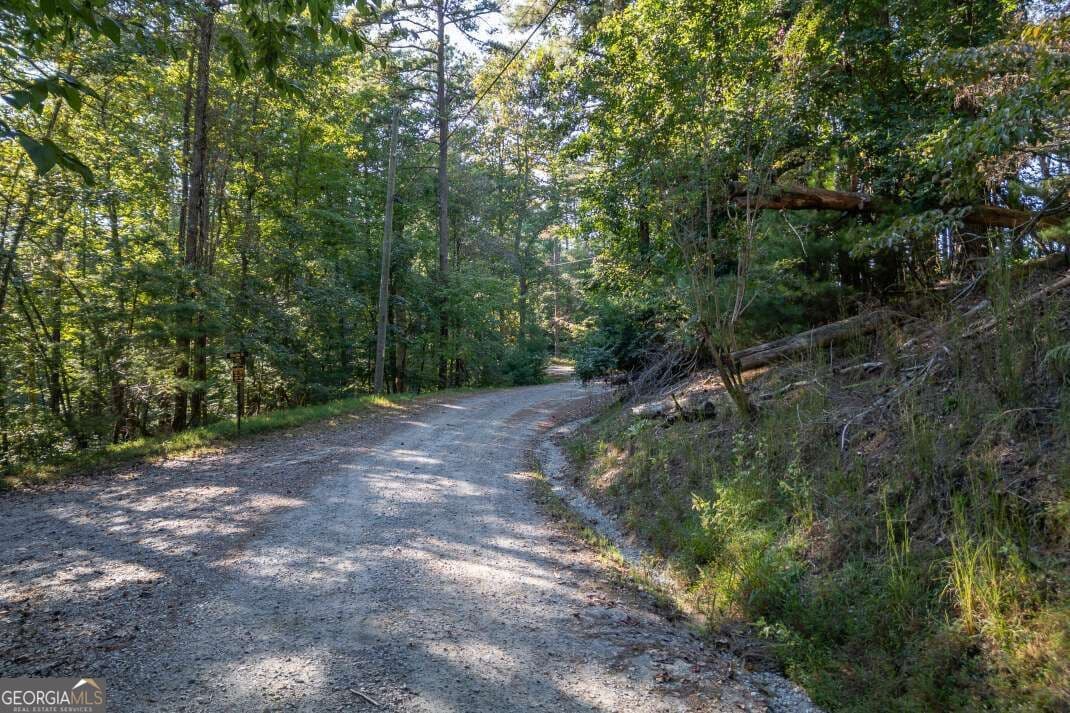 residential lot for sale at LOT 3234 Eagle Mountain, Ellijay, GA 30536 — photo 2