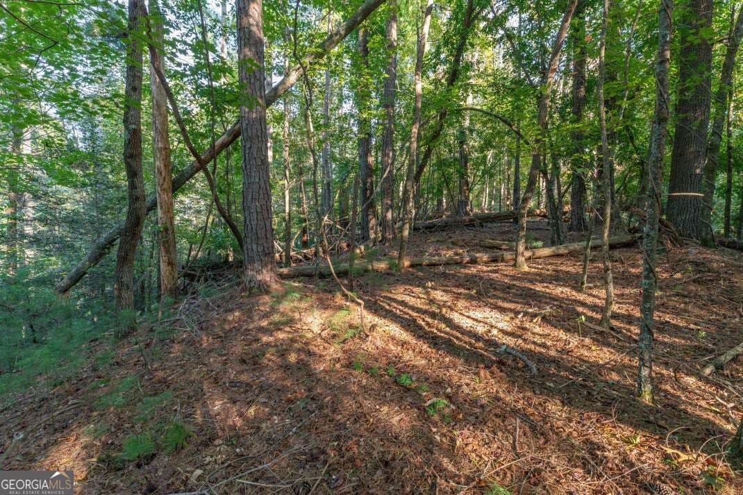 residential lot for sale at LOT 3234 Eagle Mountain, Ellijay, GA 30536 — photo 6