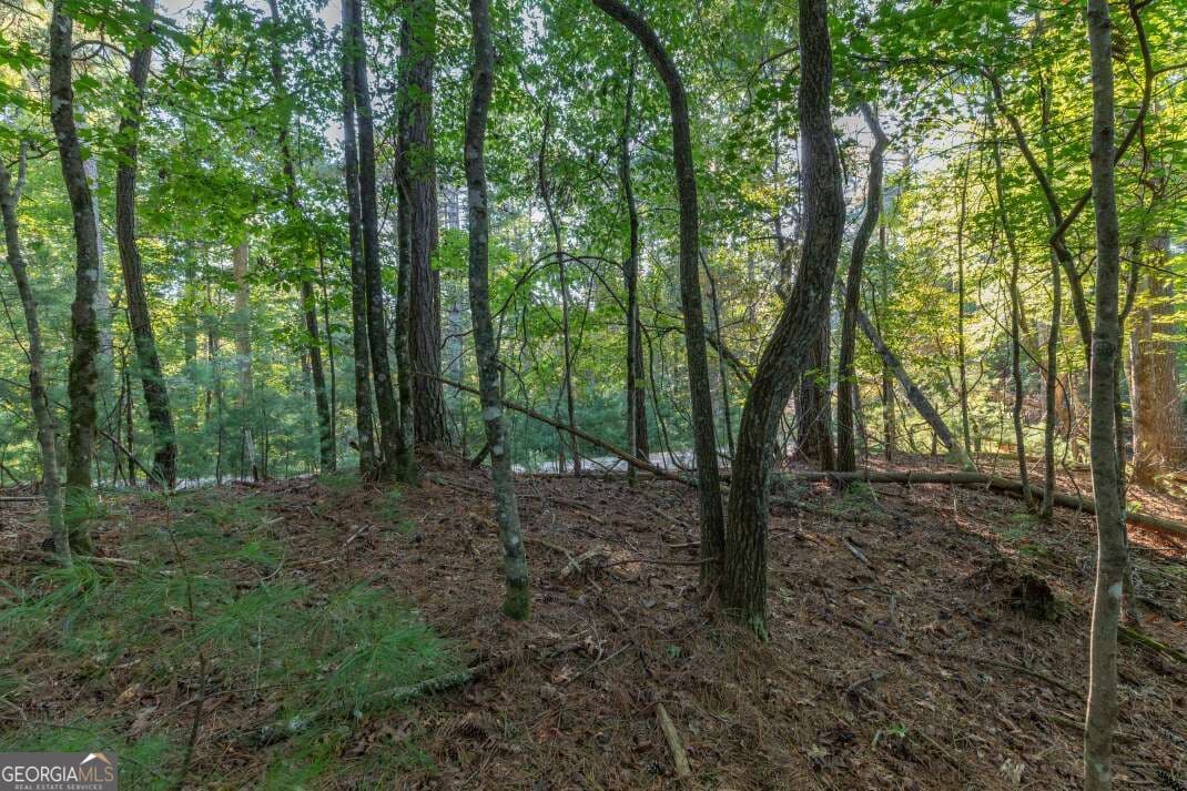 residential lot for sale at LOT 3234 Eagle Mountain, Ellijay, GA 30536 — photo 7