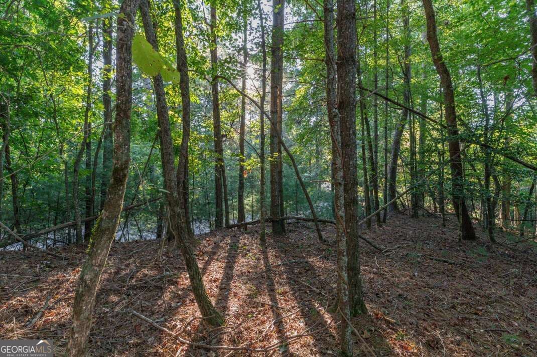 residential lot for sale at LOT 3234 Eagle Mountain, Ellijay, GA 30536 — photo 3