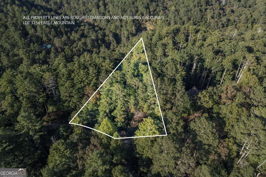 residential lot for sale at LOT 3234 Eagle Mountain, Ellijay, GA 30536 — photo 1 of 13