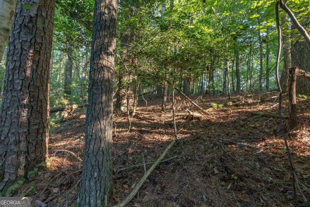 residential lot for sale at LOT 3234 Eagle Mountain, Ellijay, GA 30536 — photo 5