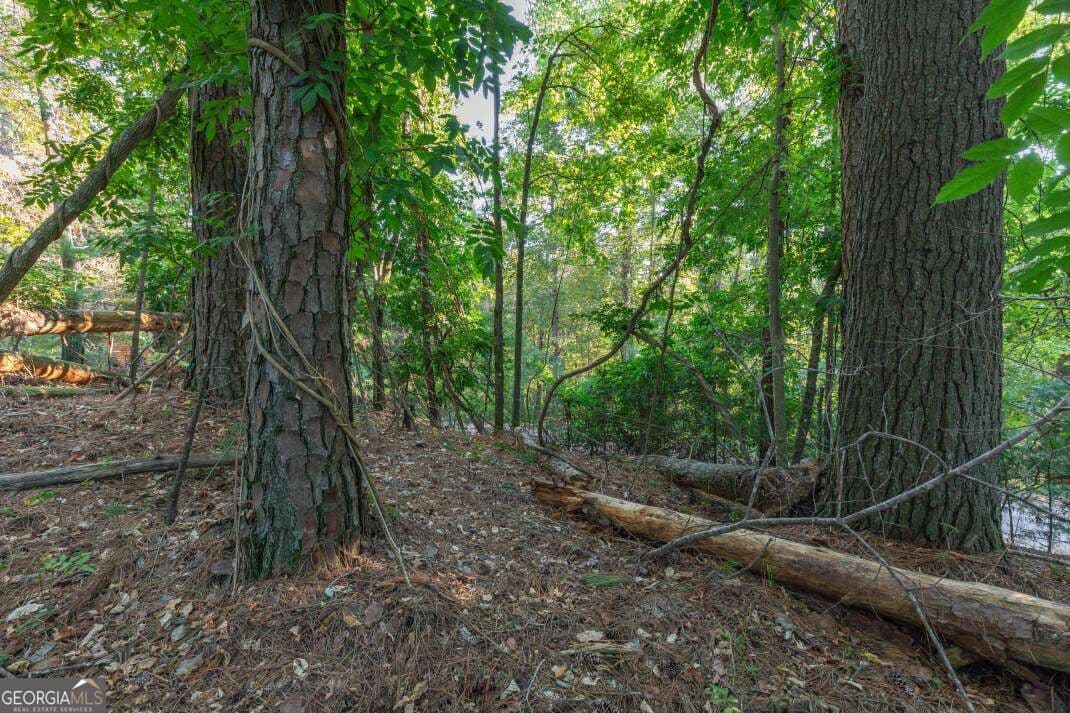 residential lot for sale at LOT 3234 Eagle Mountain, Ellijay, GA 30536 — photo 9