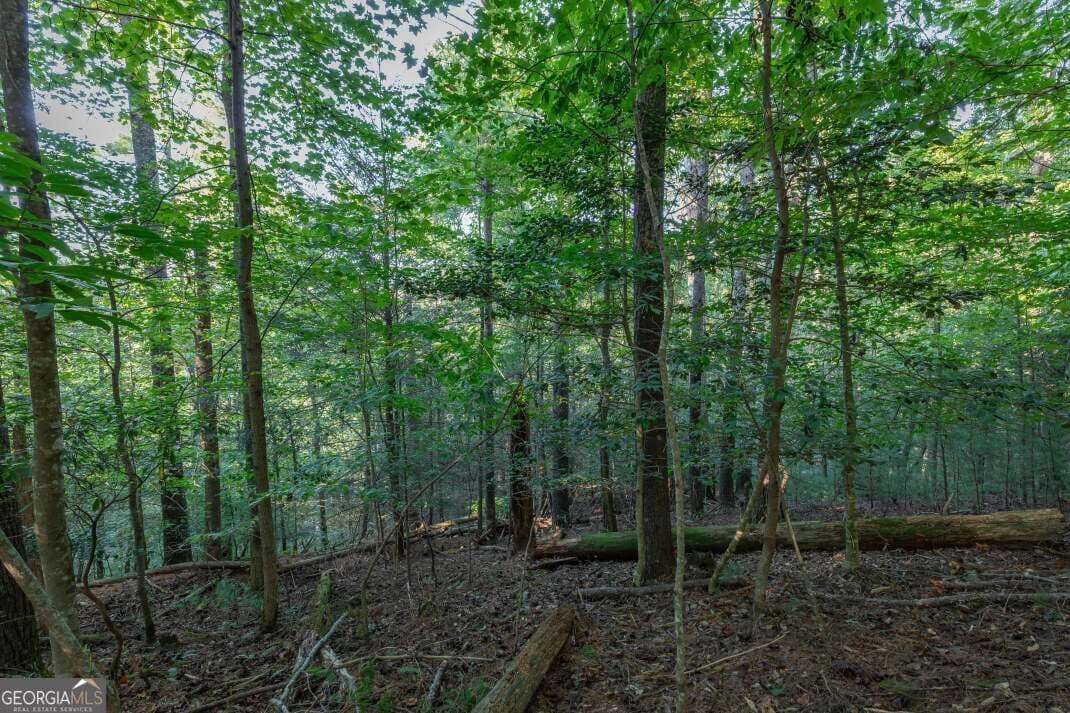 residential lot for sale at LOT 3234 Eagle Mountain, Ellijay, GA 30536 — photo 10