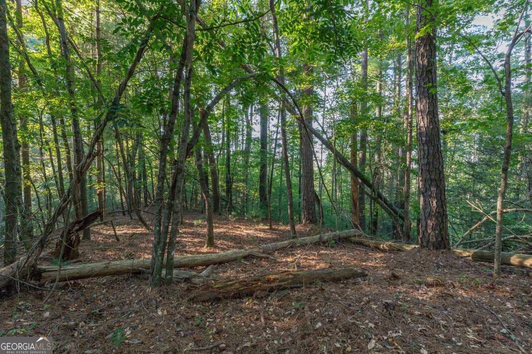 residential lot for sale at LOT 3234 Eagle Mountain, Ellijay, GA 30536 — photo 4