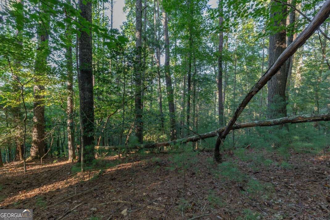 residential lot for sale at LOT 3234 Eagle Mountain, Ellijay, GA 30536 — photo 8
