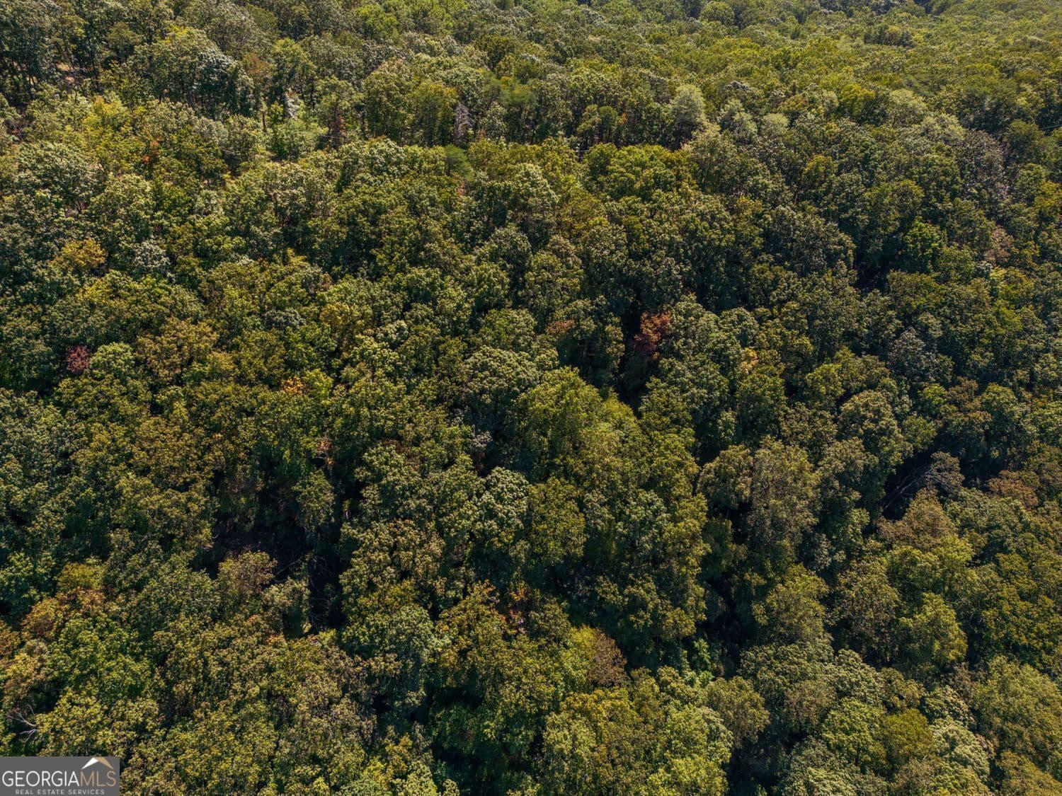 residential lot for sale at 0 Shadowick Mountain Road, Jasper, GA 30143 — photo 6