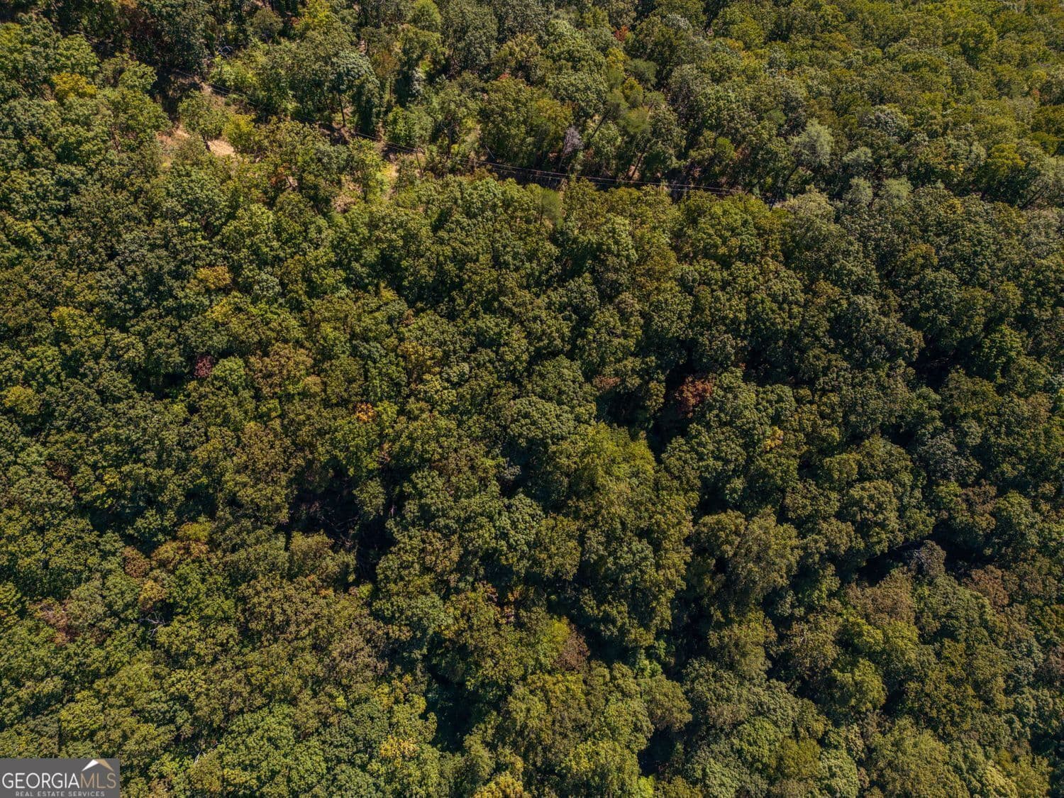 residential lot for sale at 0 Shadowick Mountain Road, Jasper, GA 30143 — photo 7