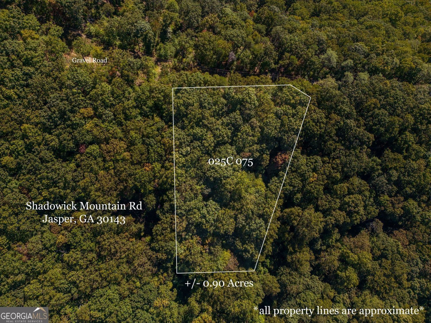 residential lot for sale at 0 Shadowick Mountain Road, Jasper, GA 30143 — photo 1 of 19