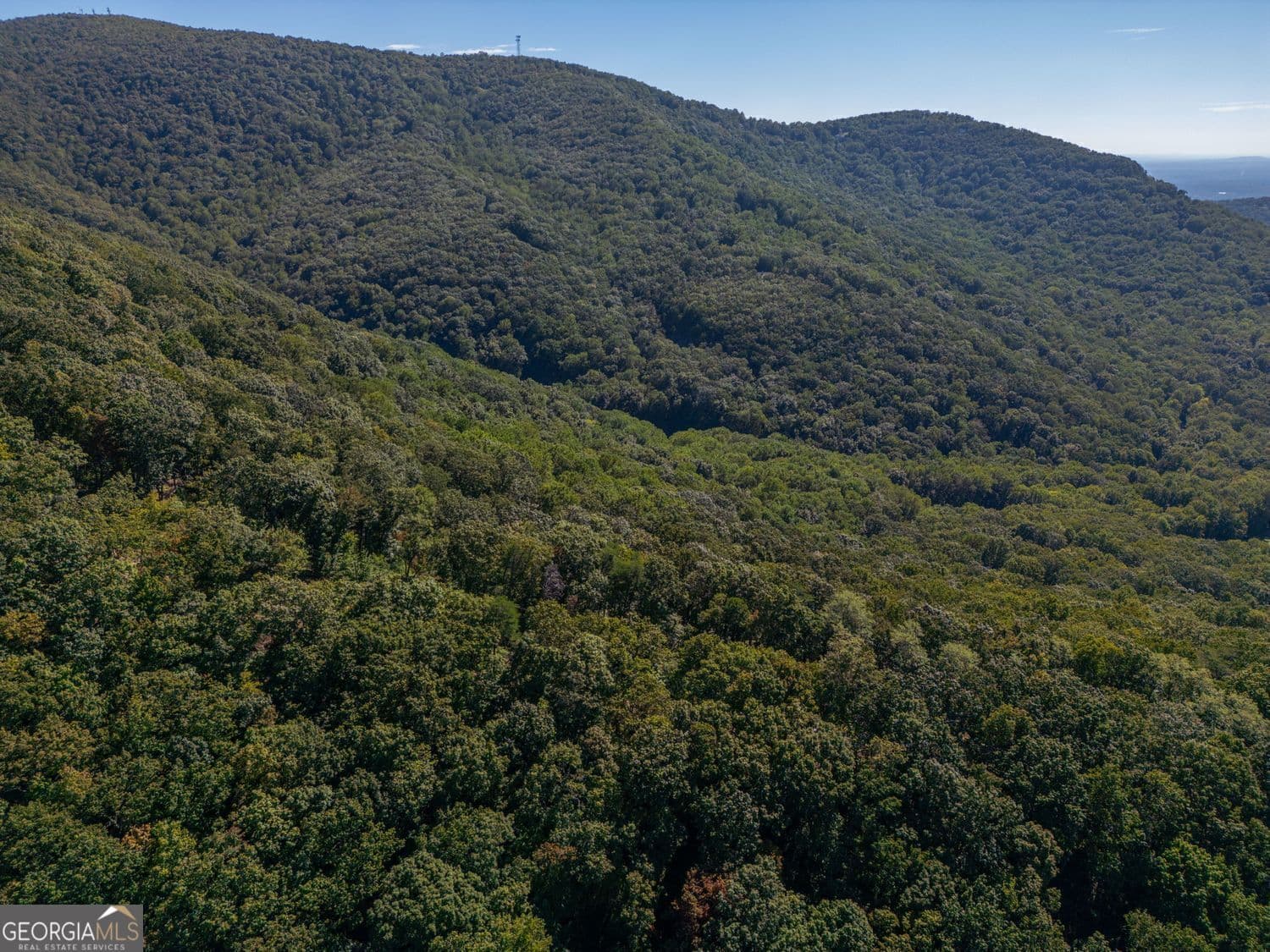 residential lot for sale at 0 Shadowick Mountain Road, Jasper, GA 30143 — photo 5