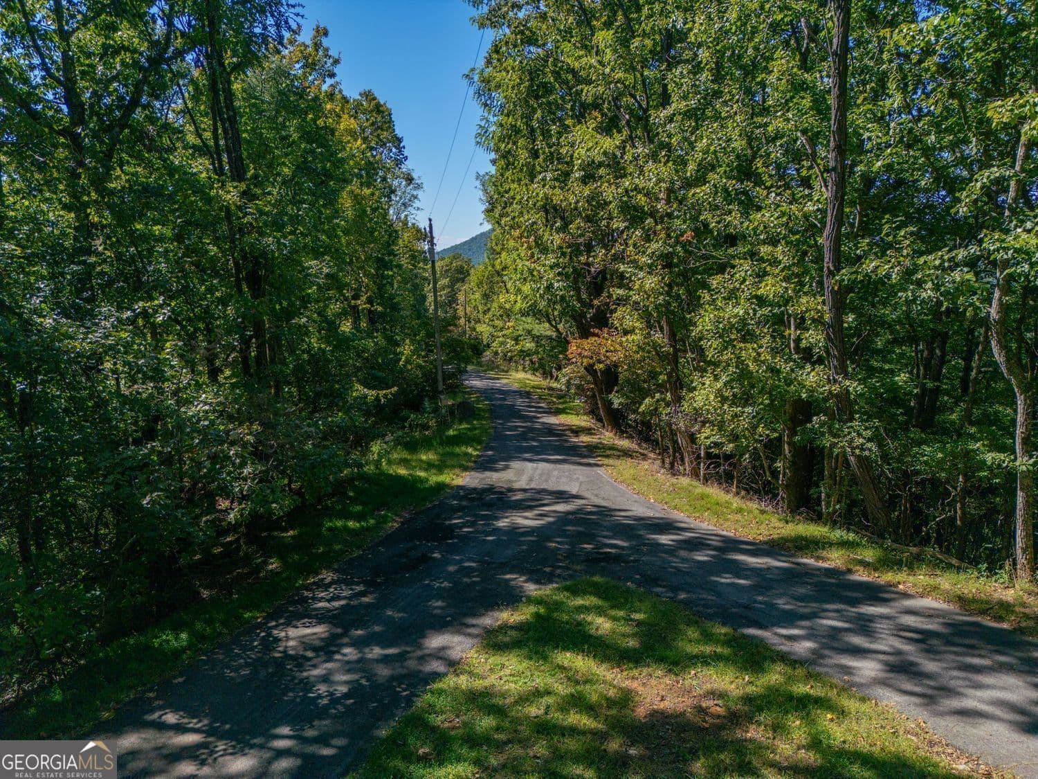 residential lot for sale at 0 Shadowick Mountain Road, Jasper, GA 30143 — photo 10