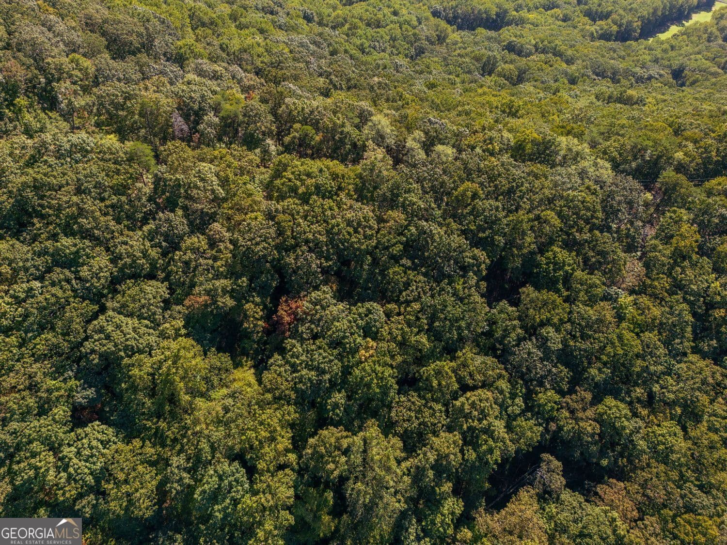 residential lot for sale at 0 Shadowick Mountain Road, Jasper, GA 30143 — photo 4