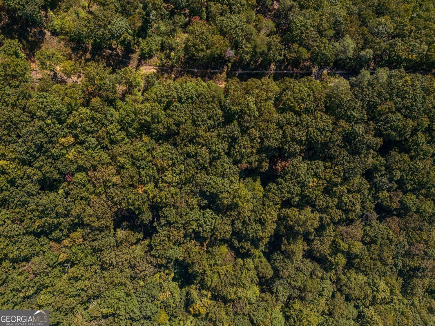 residential lot for sale at 0 Shadowick Mountain Road, Jasper, GA 30143 — photo 8