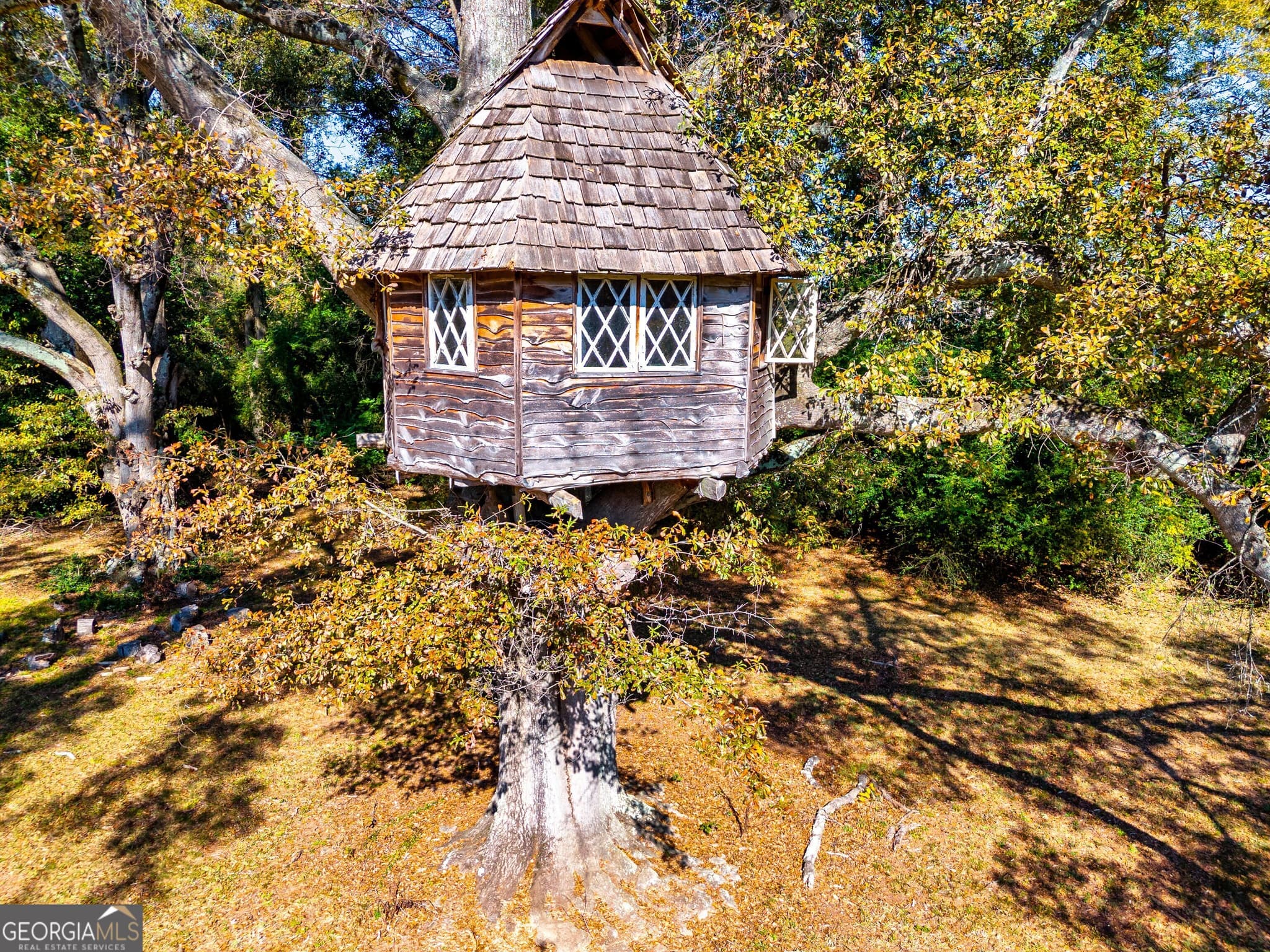 5 bedroom, 7 bathroom, 5,975 sq ft single family residence for sale at 300 Poplar Drive, Thomaston, GA 30286 — photo 5