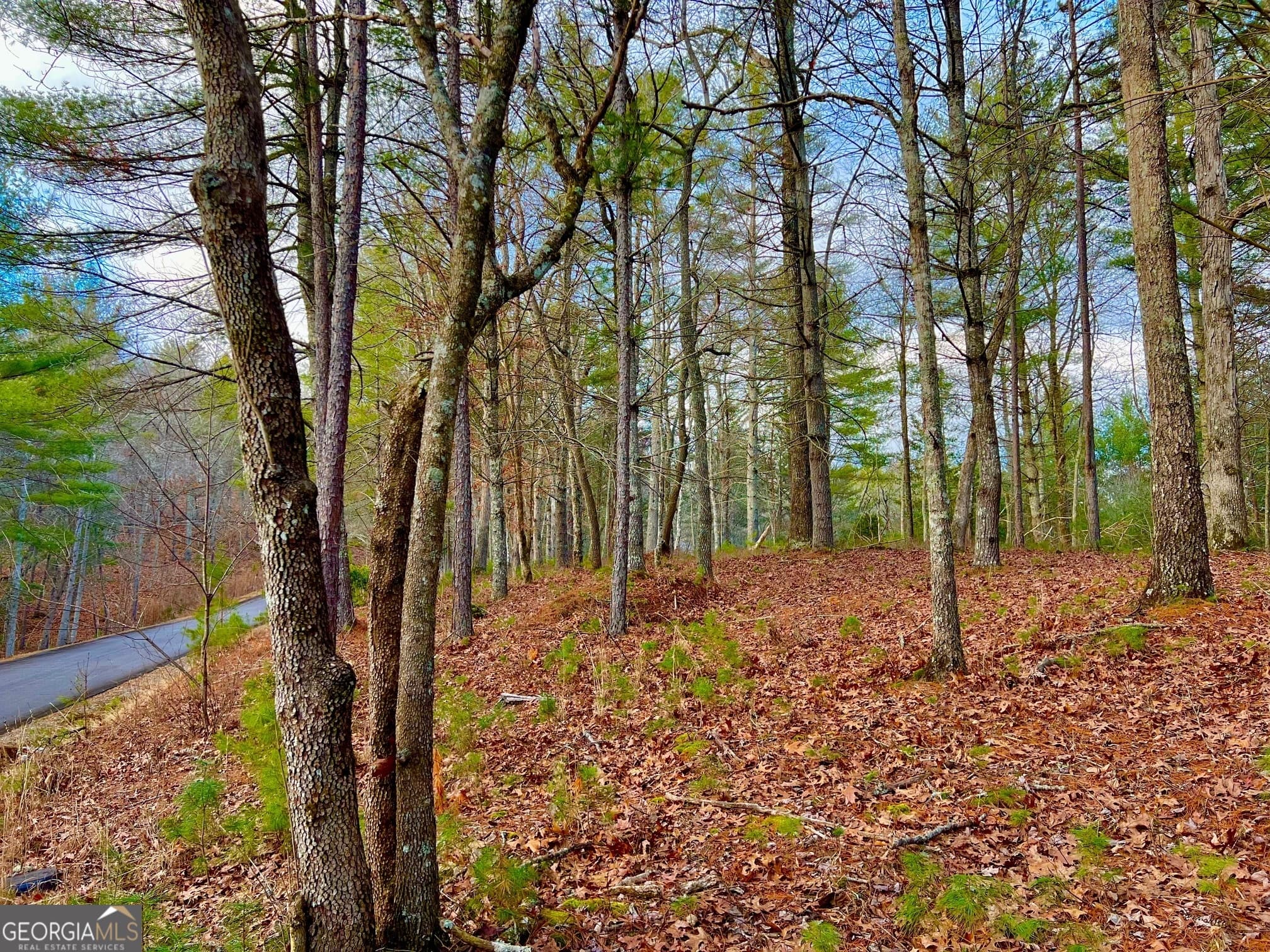 residential lot for sale at 0 Hawks View, Morganton, GA 30560 — photo 6
