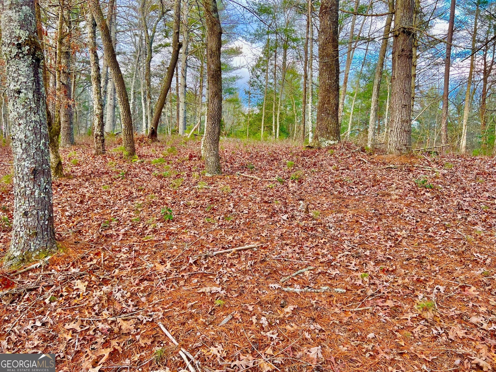 residential lot for sale at 0 Hawks View, Morganton, GA 30560 — photo 7