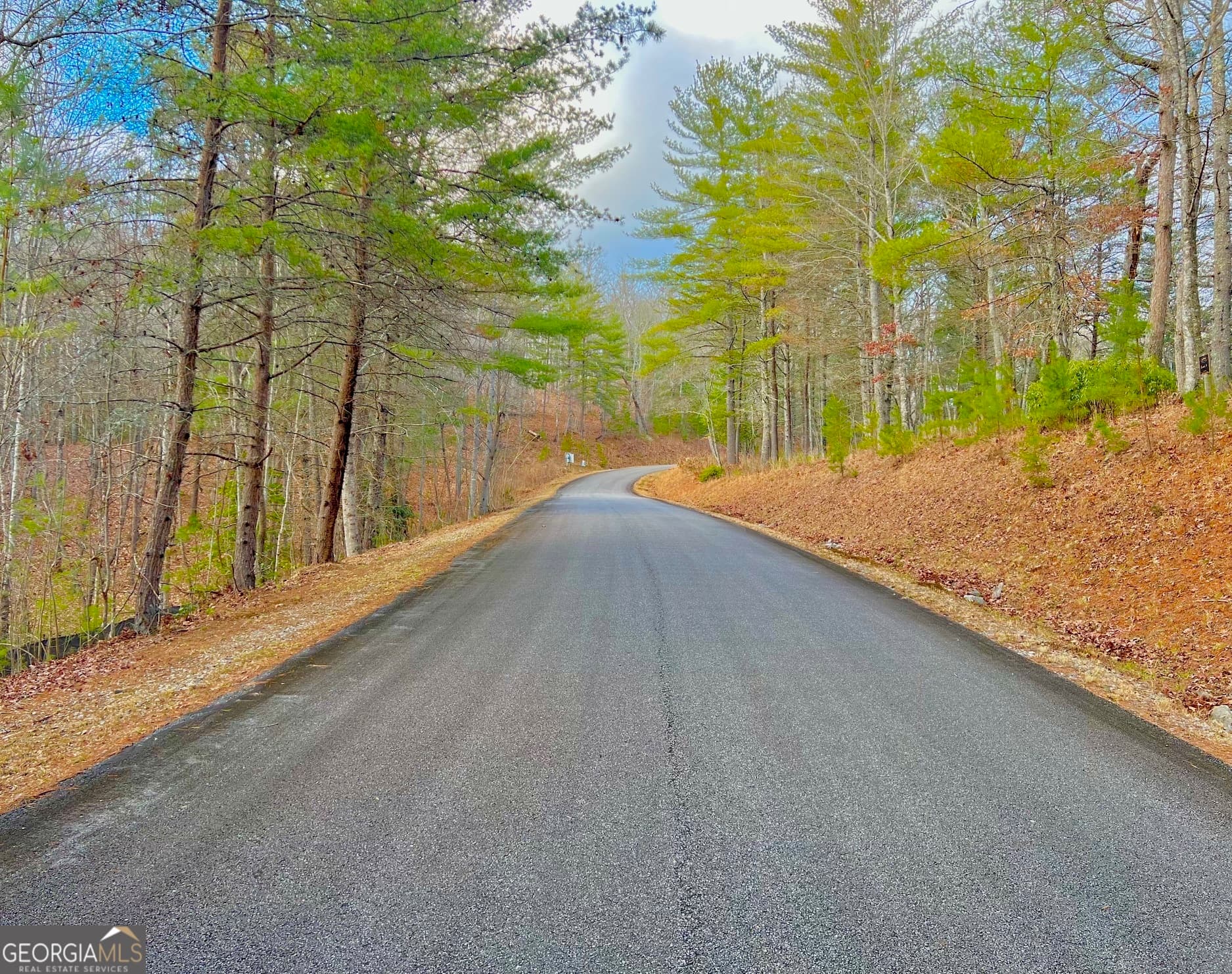 residential lot for sale at 0 Hawks View, Morganton, GA 30560 — photo 3