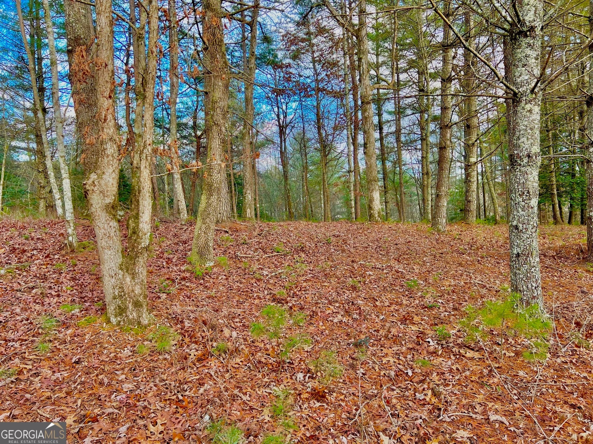 residential lot for sale at 0 Hawks View, Morganton, GA 30560 — photo 1 of 22