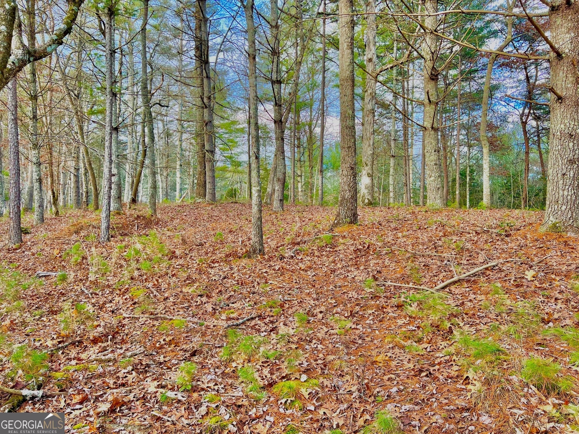residential lot for sale at 0 Hawks View, Morganton, GA 30560 — photo 5