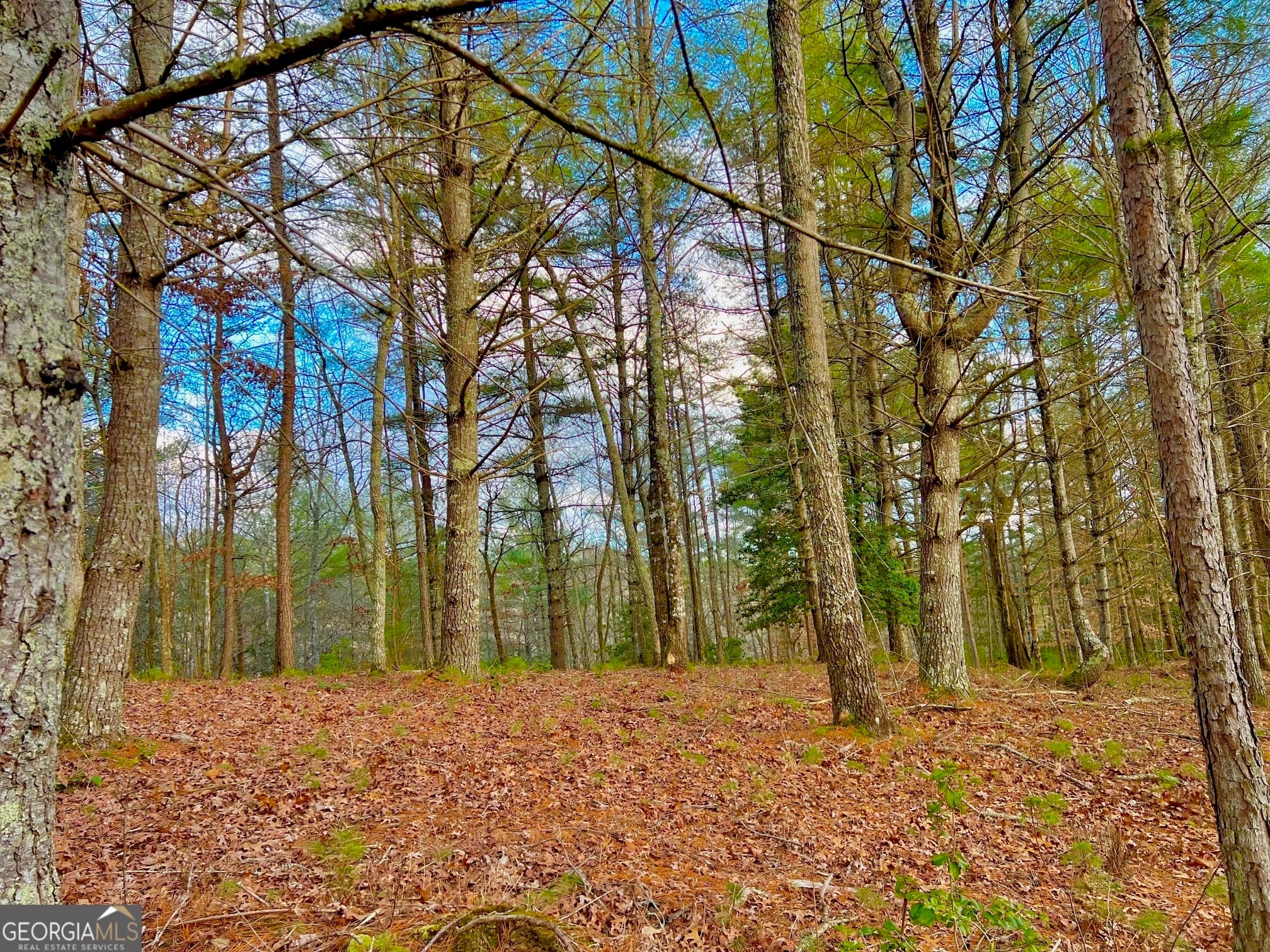 residential lot for sale at 0 Hawks View, Morganton, GA 30560 — photo 9