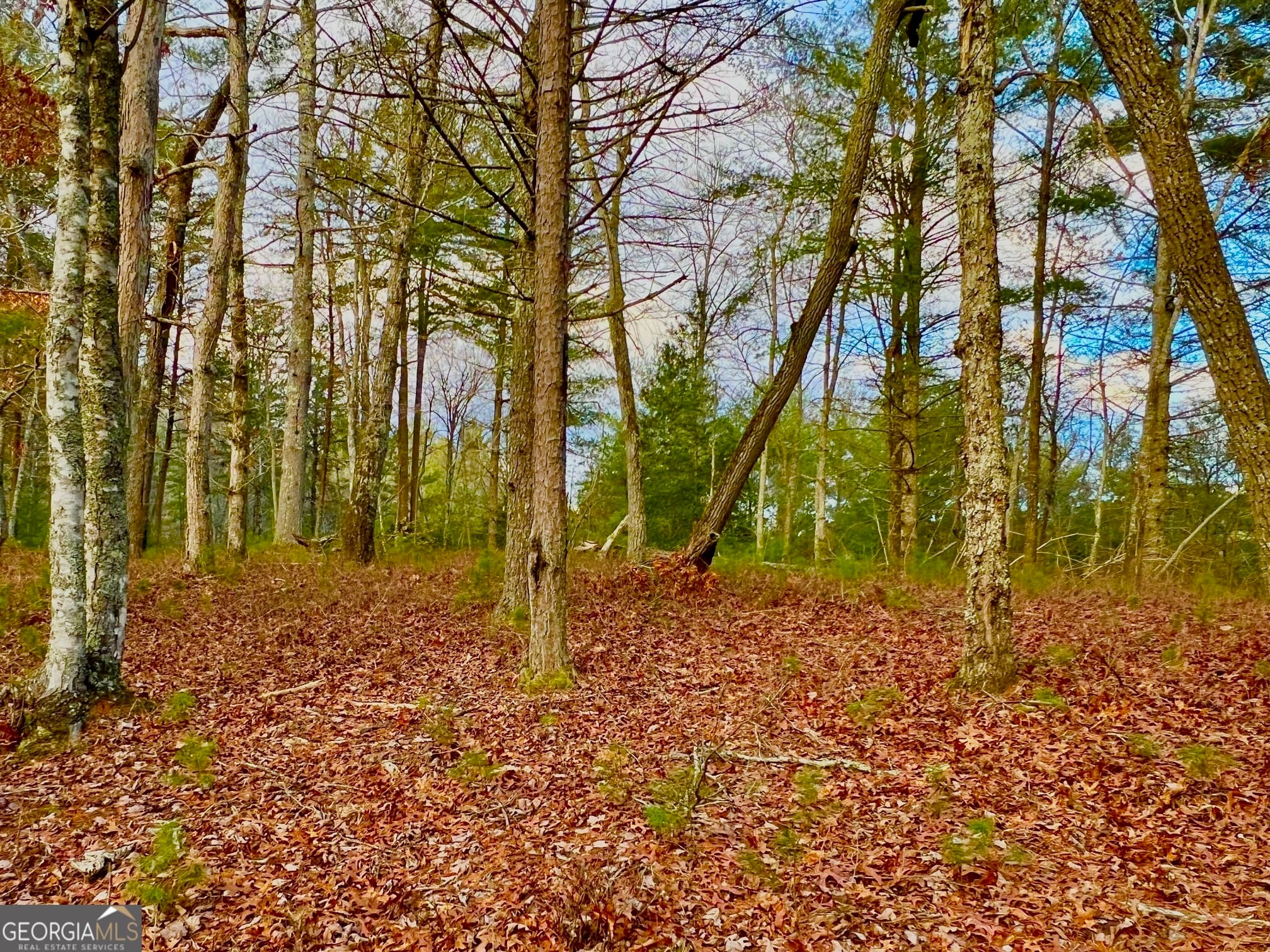 residential lot for sale at 0 Hawks View, Morganton, GA 30560 — photo 10