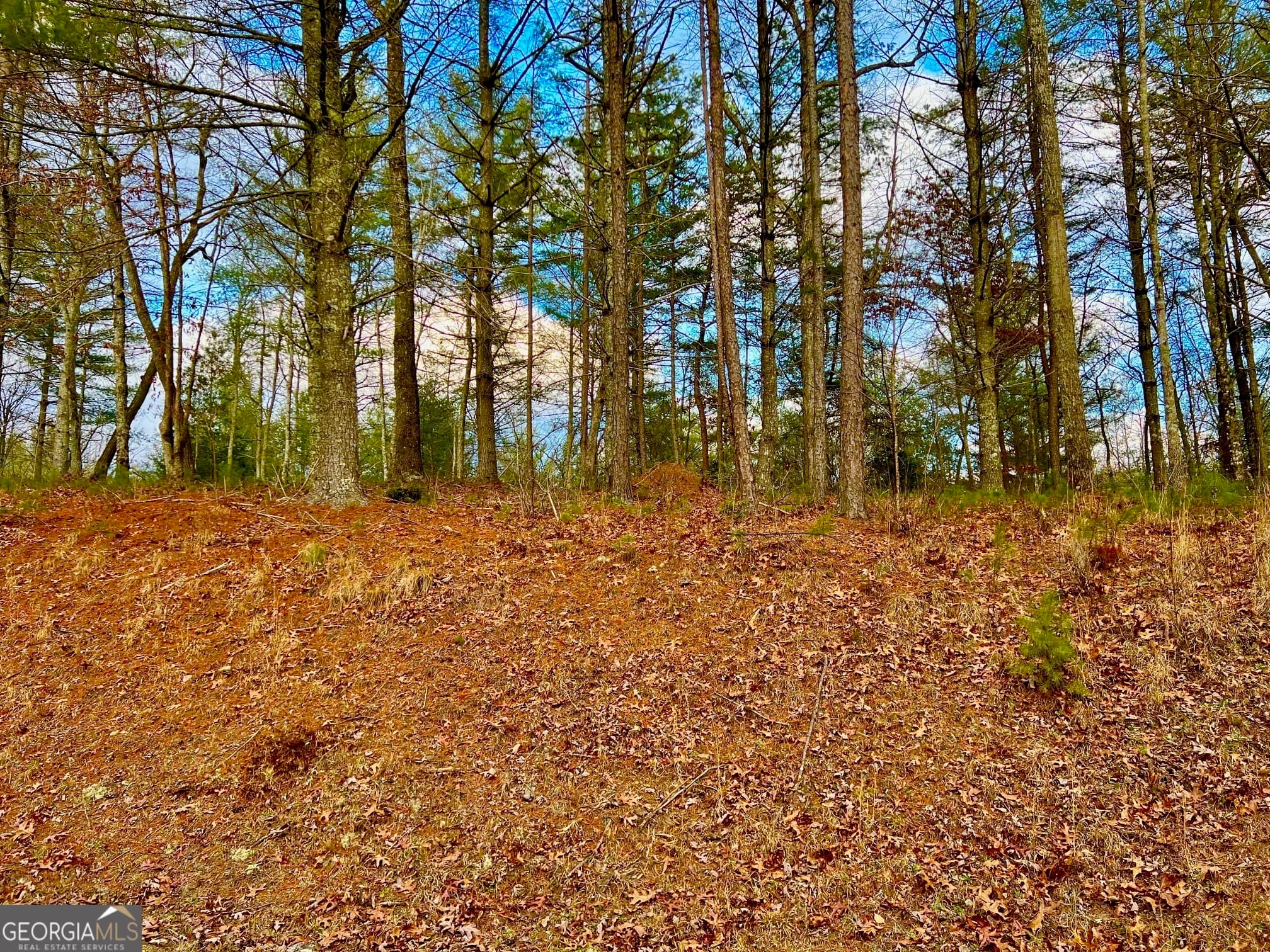 residential lot for sale at 0 Hawks View, Morganton, GA 30560 — photo 4