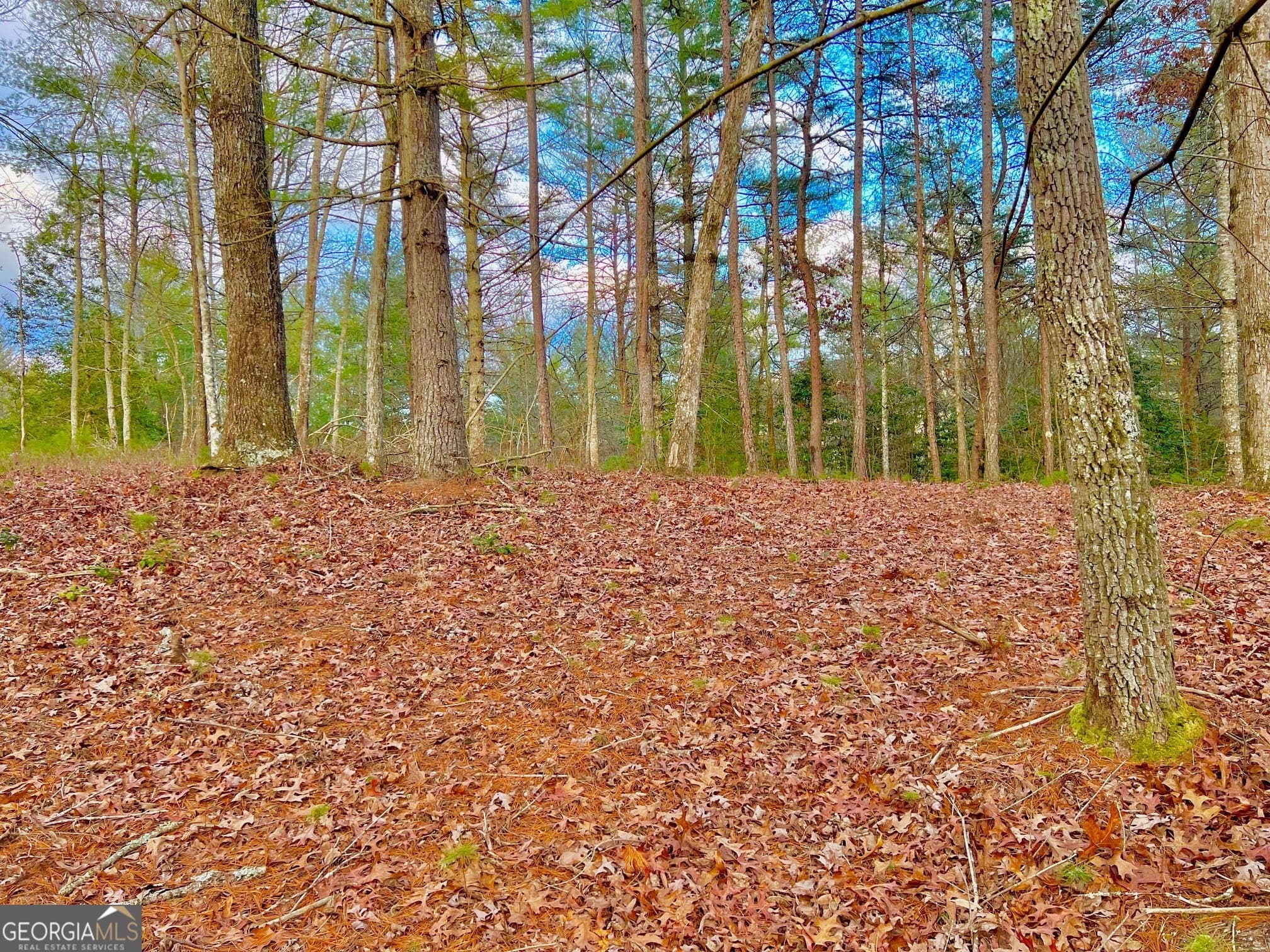 residential lot for sale at 0 Hawks View, Morganton, GA 30560 — photo 8