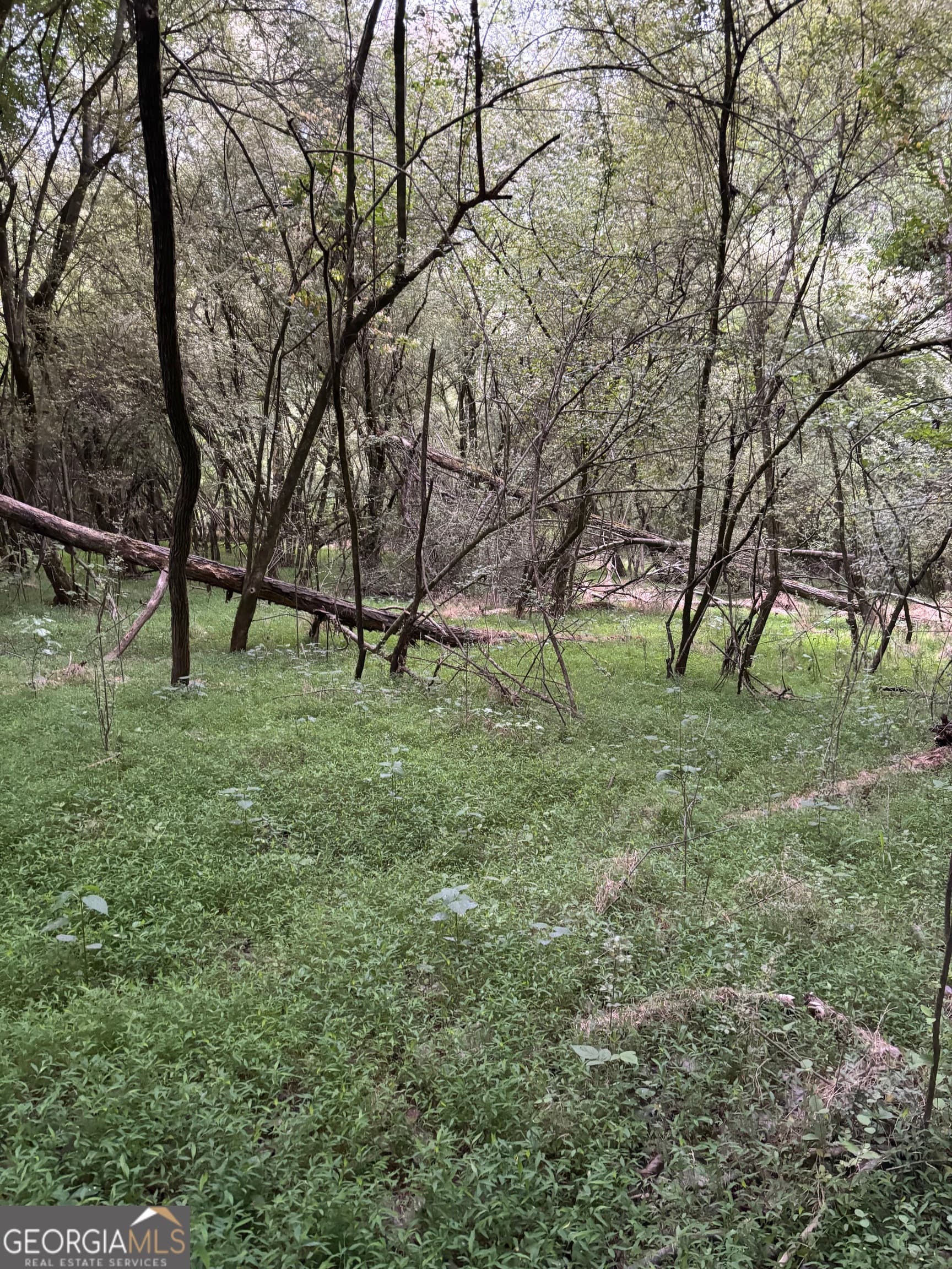 unimproved land for sale at TRACT A-1B AND Marshburn Road, Homer, GA 30547 — photo 6