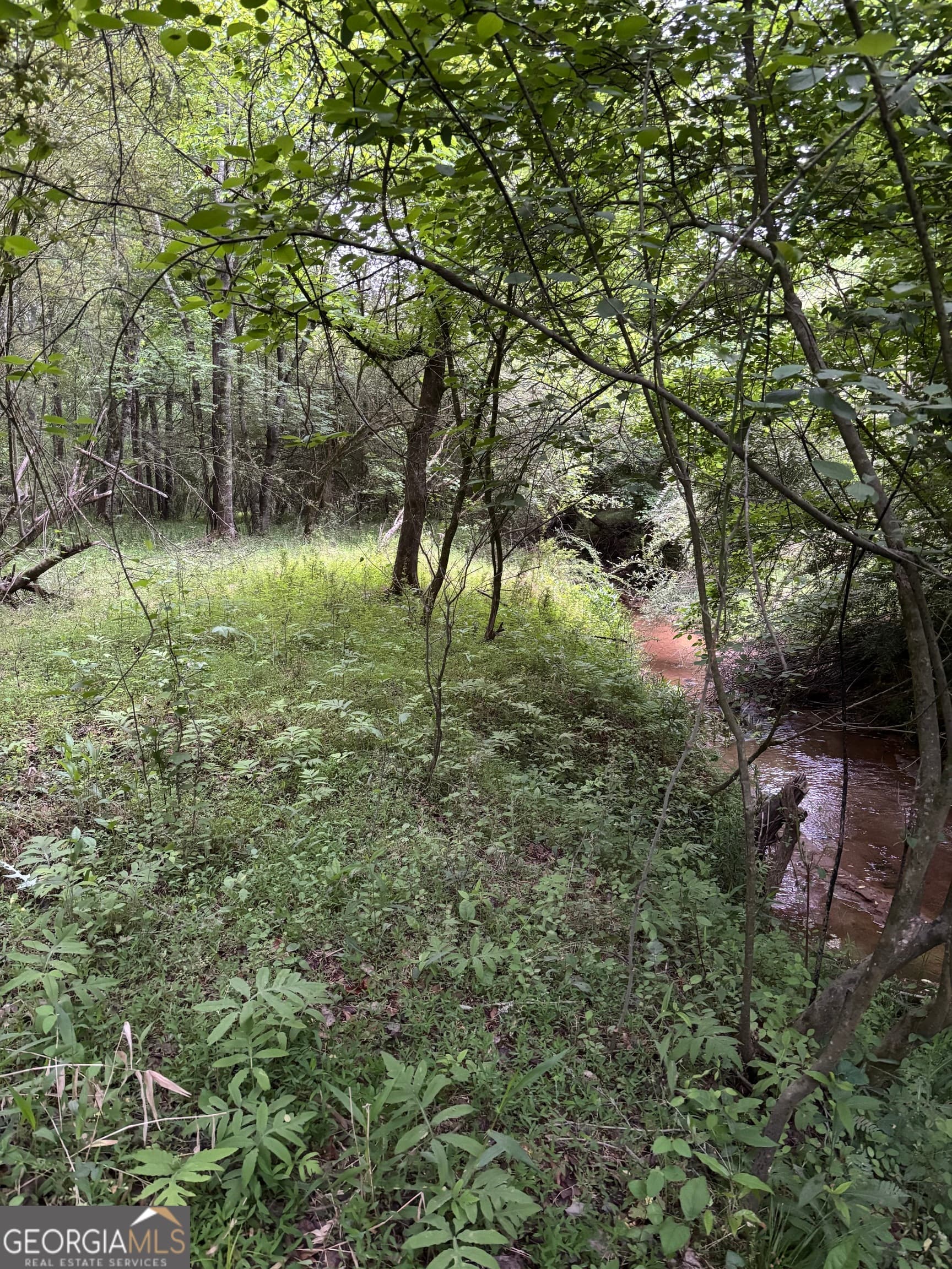 unimproved land for sale at TRACT A-1B AND Marshburn Road, Homer, GA 30547 — photo 7