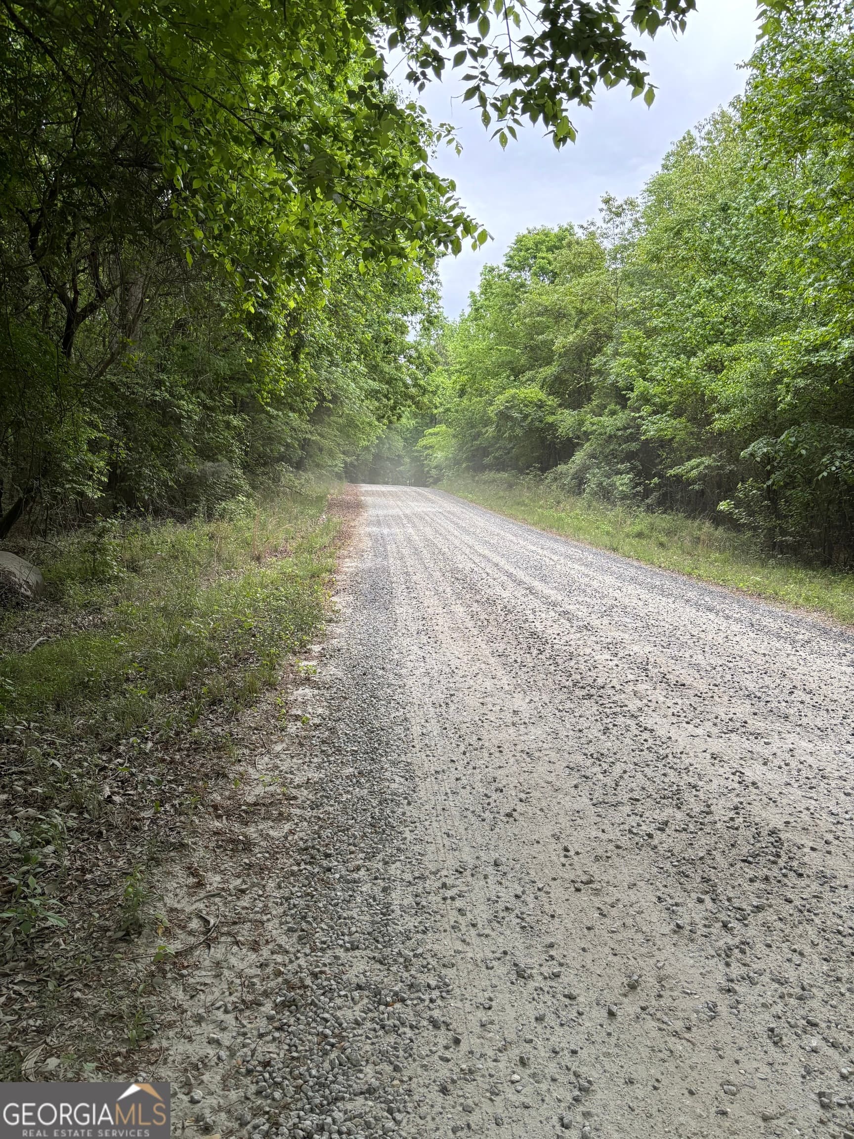 unimproved land for sale at TRACT A-1B AND Marshburn Road, Homer, GA 30547 — photo 3