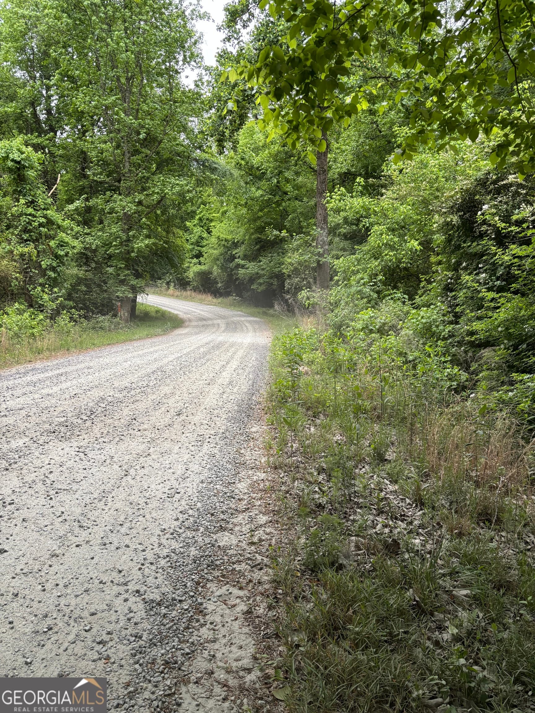 unimproved land for sale at TRACT A-1B AND Marshburn Road, Homer, GA 30547 — photo 4