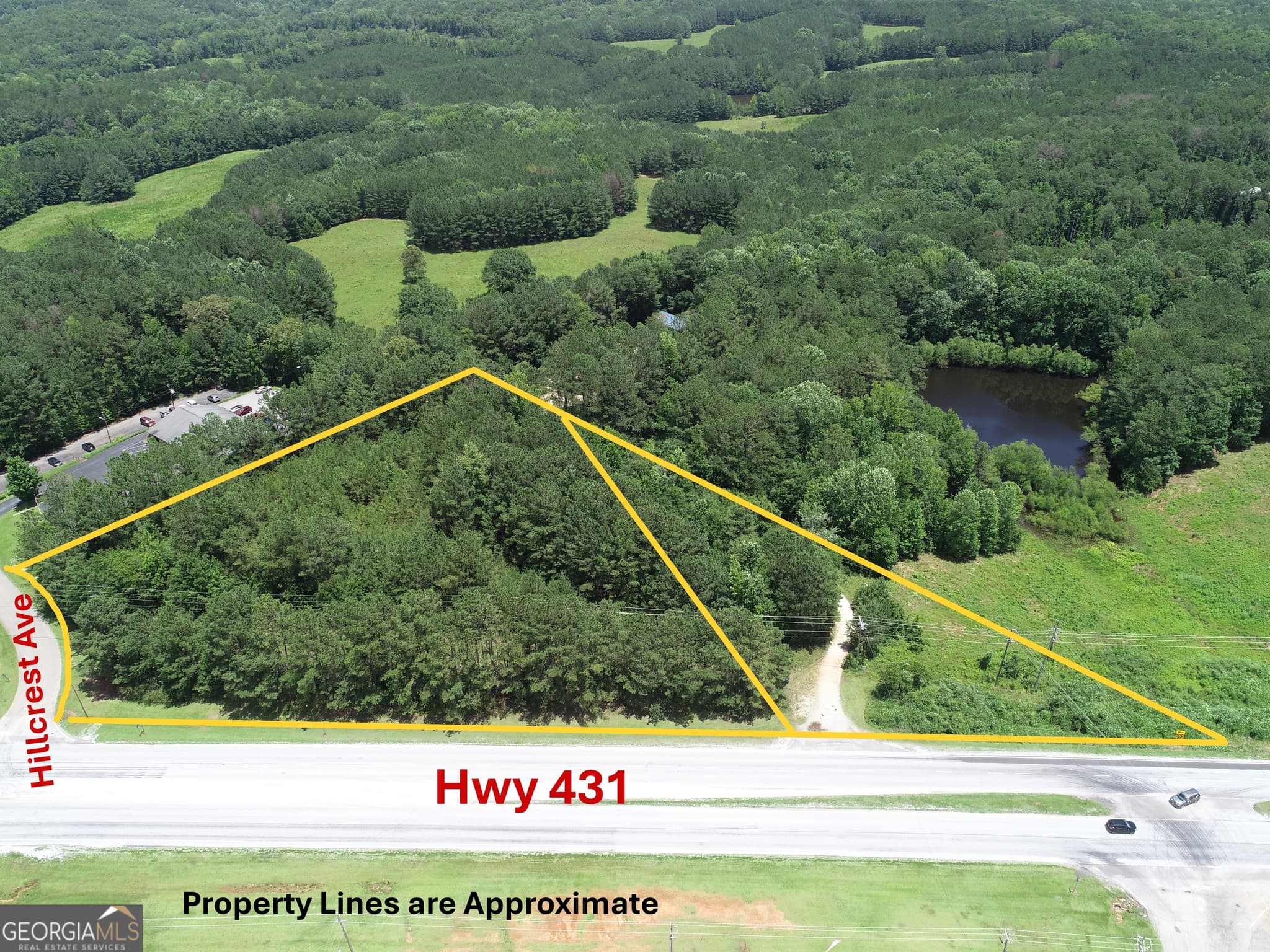 unimproved land for sale at 431 US Highway, Wedowee, AL 36278 — photo 2