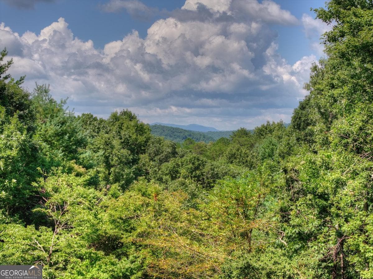 5 bedroom, 3.5 bathroom, 3,937 sq ft cabin,single family residence for sale at 85 Squirrel Chase, Morganton, GA 30560 — photo 9