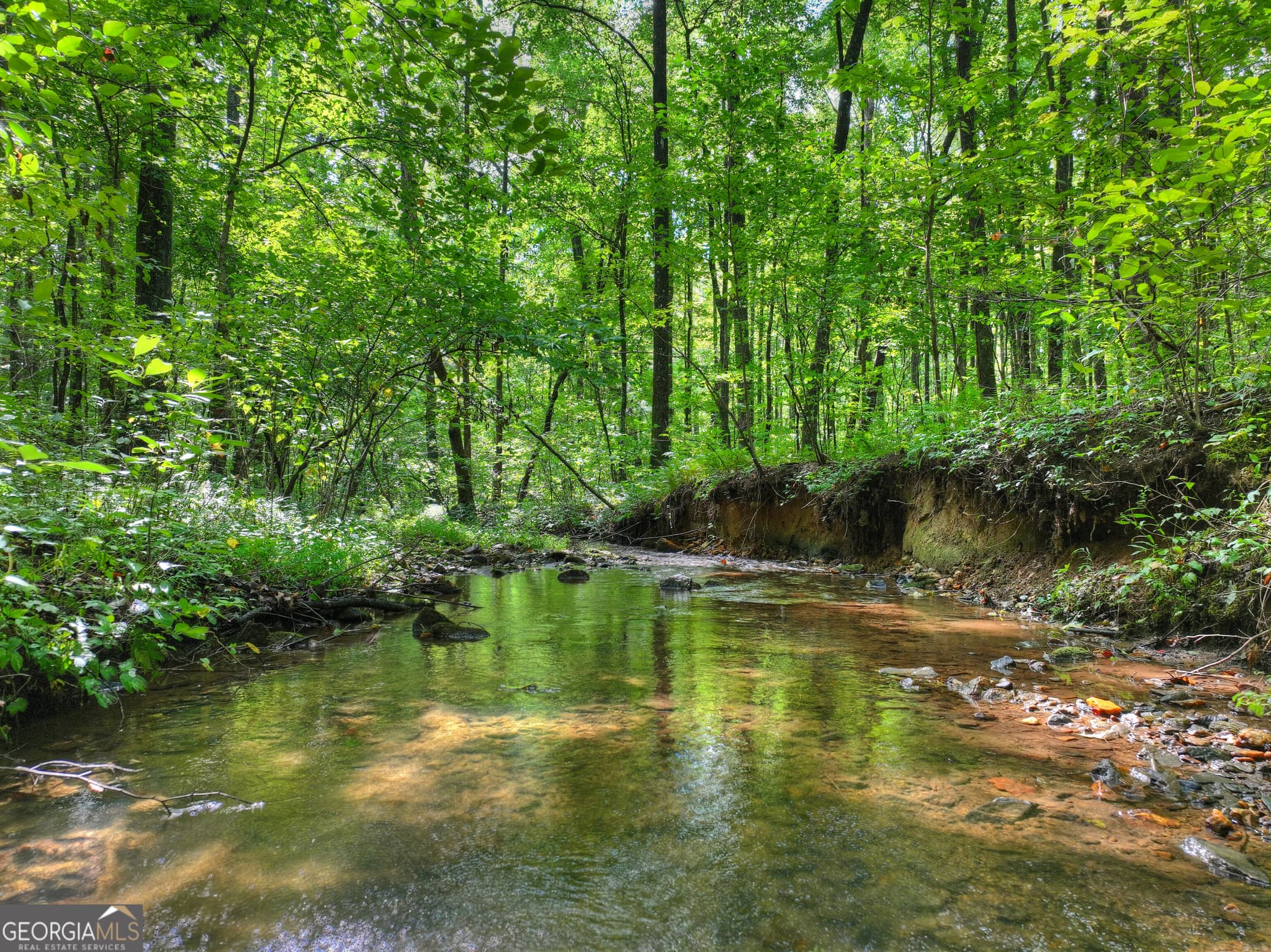 4 bedroom, 3.5 bathroom, 4,452 sq ft cabin,single family residence for sale at 606 Johntown Road, Ellijay, GA 30536 — photo 7