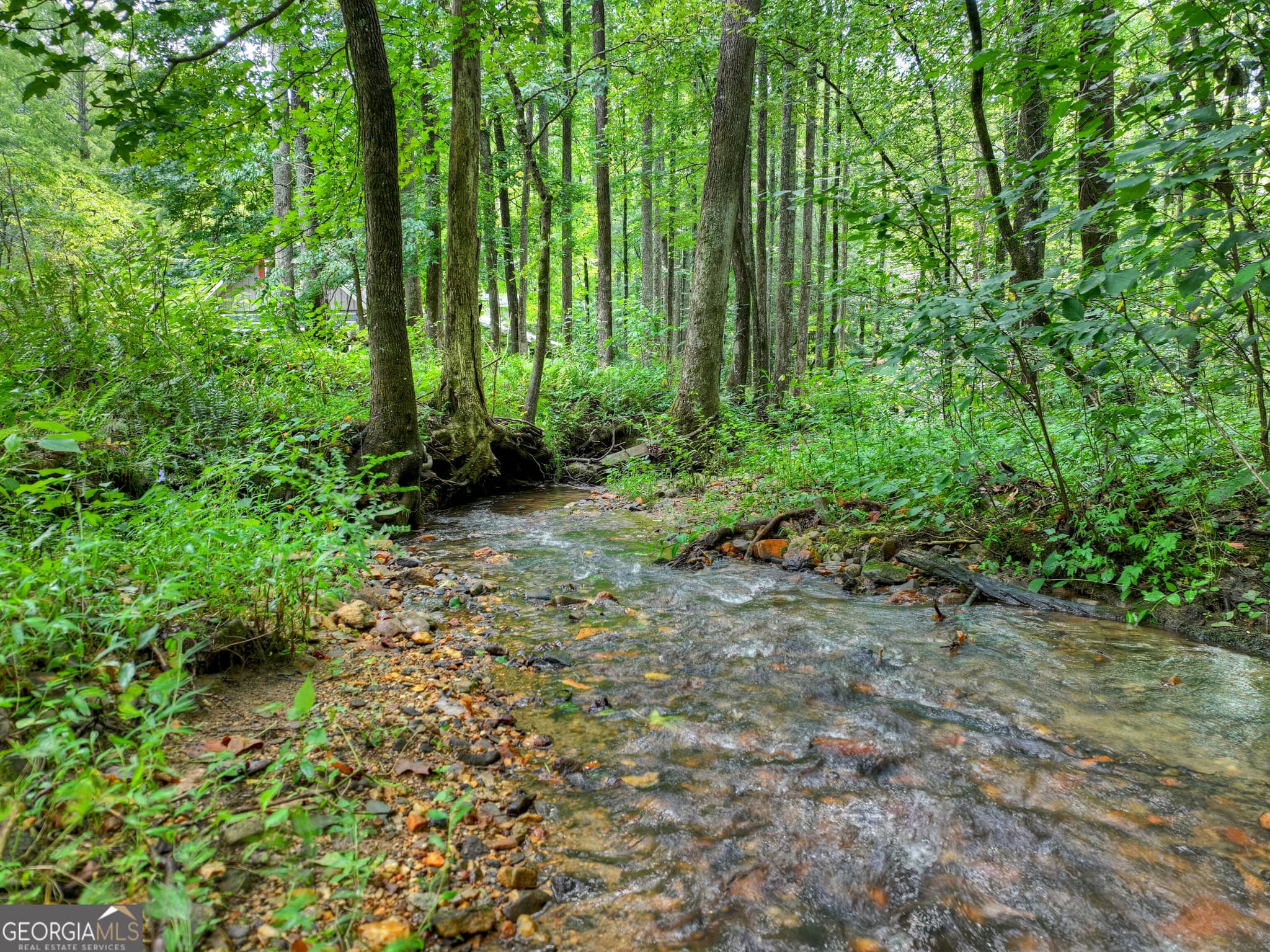 4 bedroom, 3.5 bathroom, 4,452 sq ft cabin,single family residence for sale at 606 Johntown Road, Ellijay, GA 30536 — photo 8