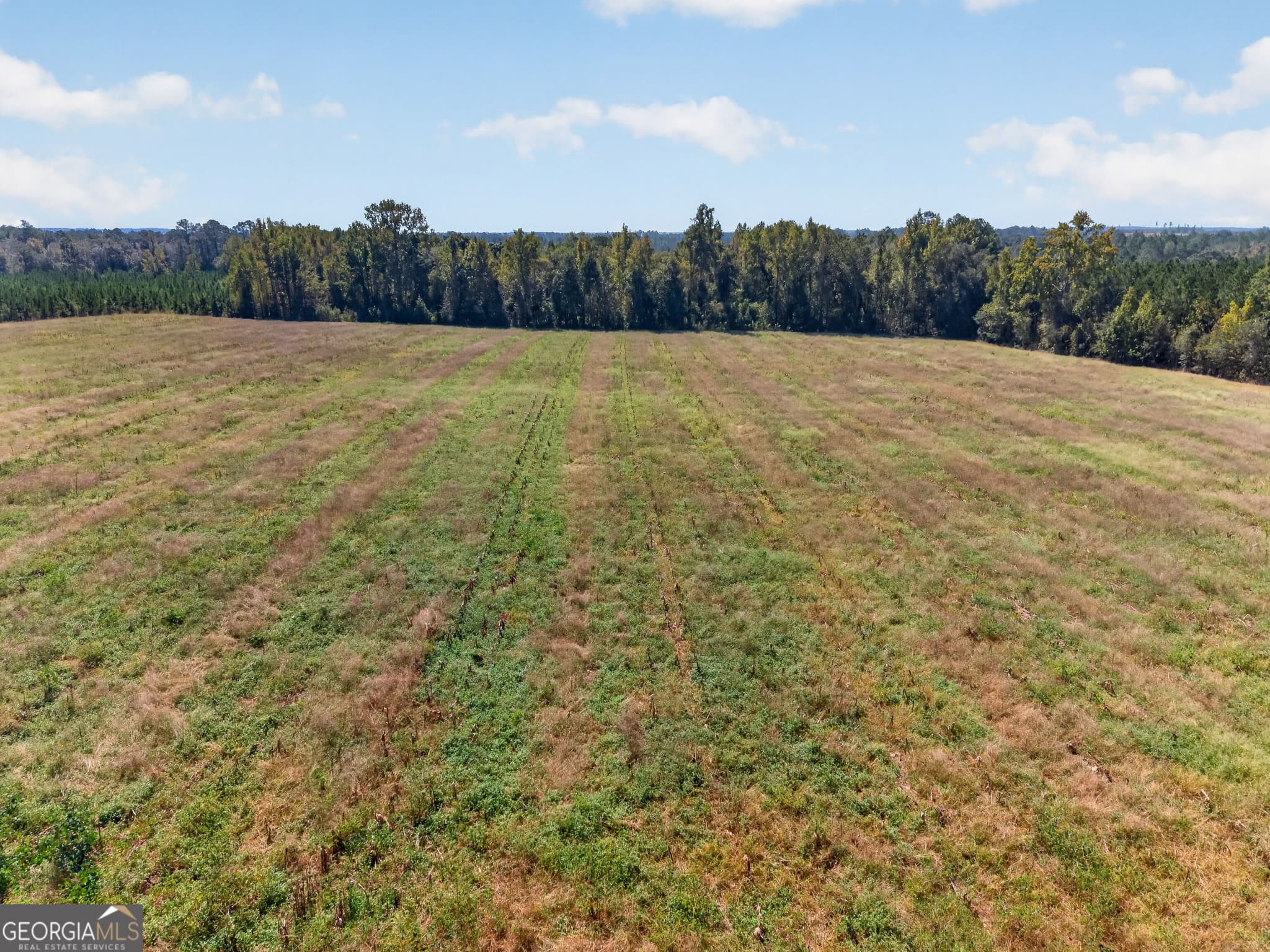 3 bedroom, 3 bathroom, 3,000 sq ft single family residence for sale at 3999 Oscar Tippins Road, Baxley, GA 31513 — photo 7
