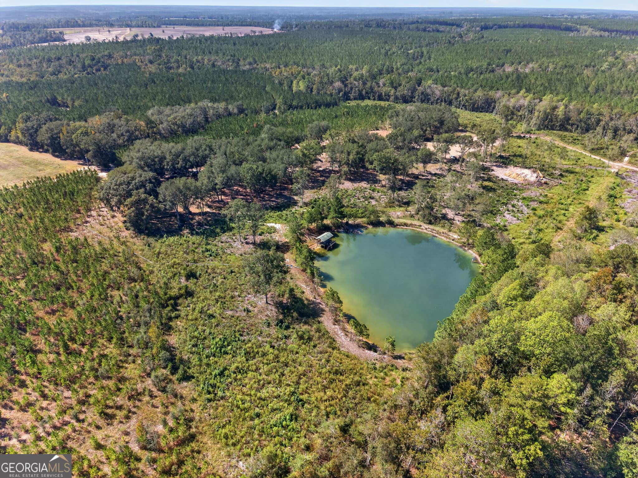 3 bedroom, 3 bathroom, 3,000 sq ft single family residence for sale at 3999 Oscar Tippins Road, Baxley, GA 31513 — photo 10