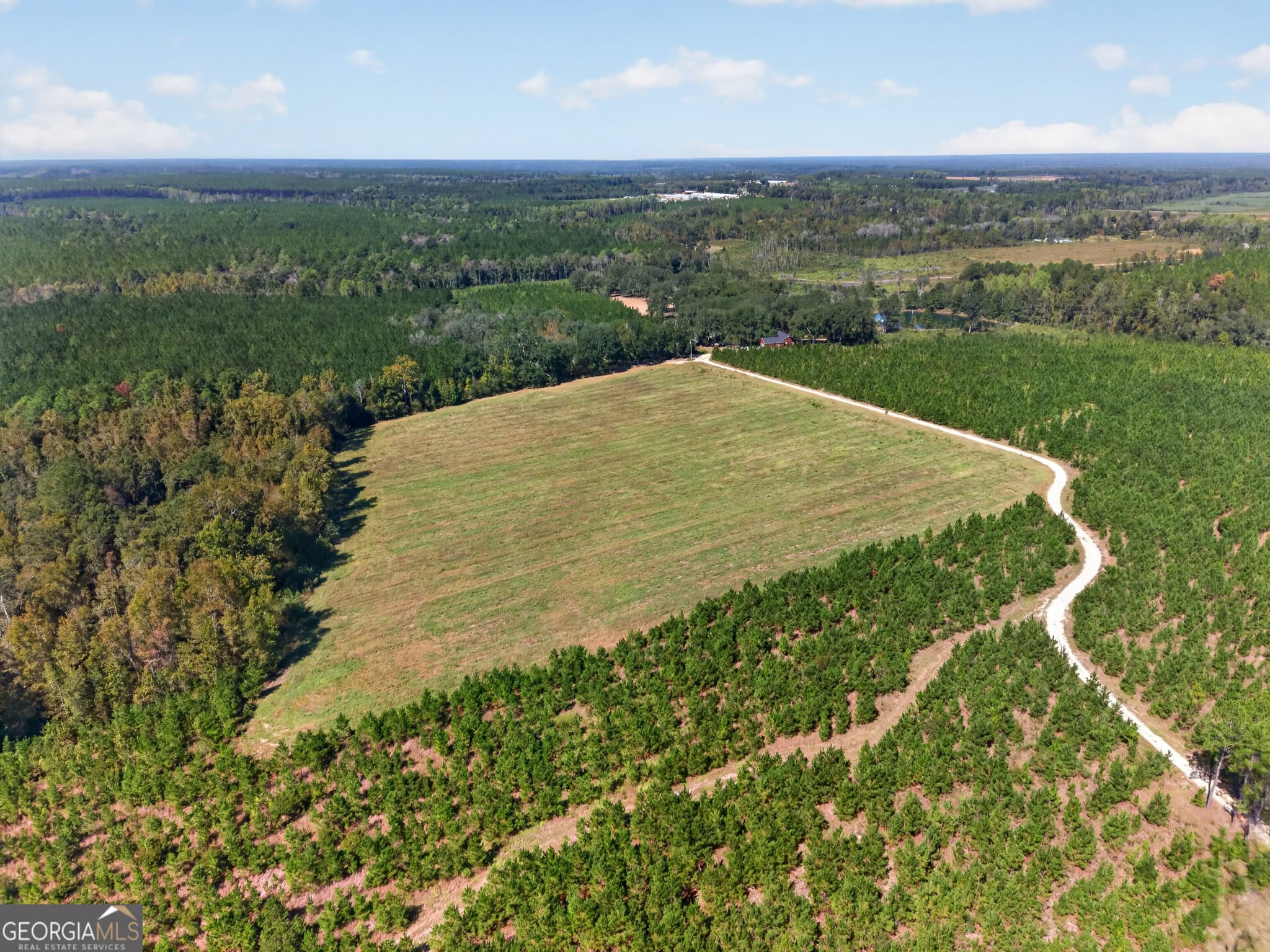 3 bedroom, 3 bathroom, 3,000 sq ft single family residence for sale at 3999 Oscar Tippins Road, Baxley, GA 31513 — photo 4