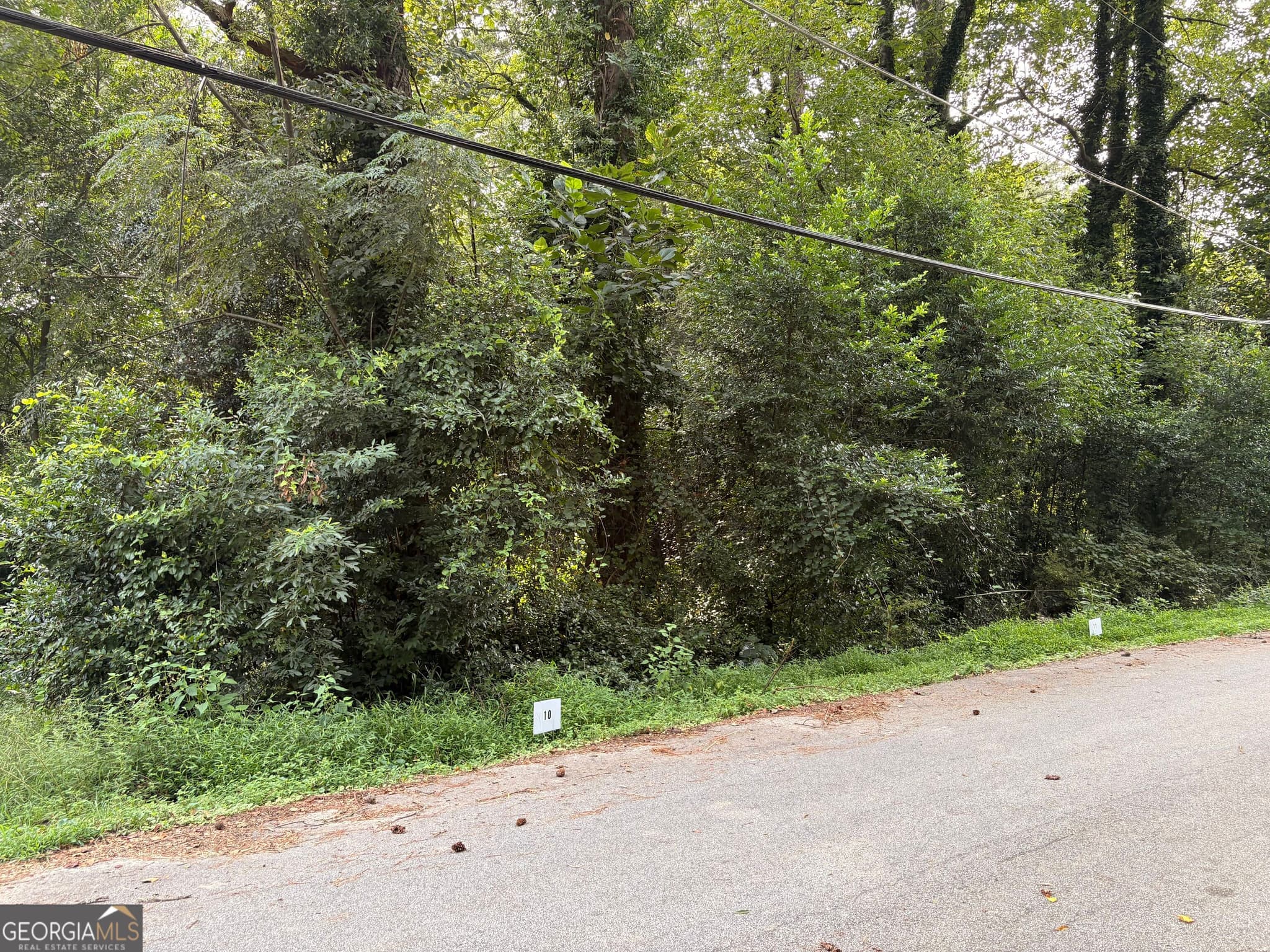 residential lot for sale at LOT 10 Adamson Road, Jonesboro, GA 30236 — photo 3