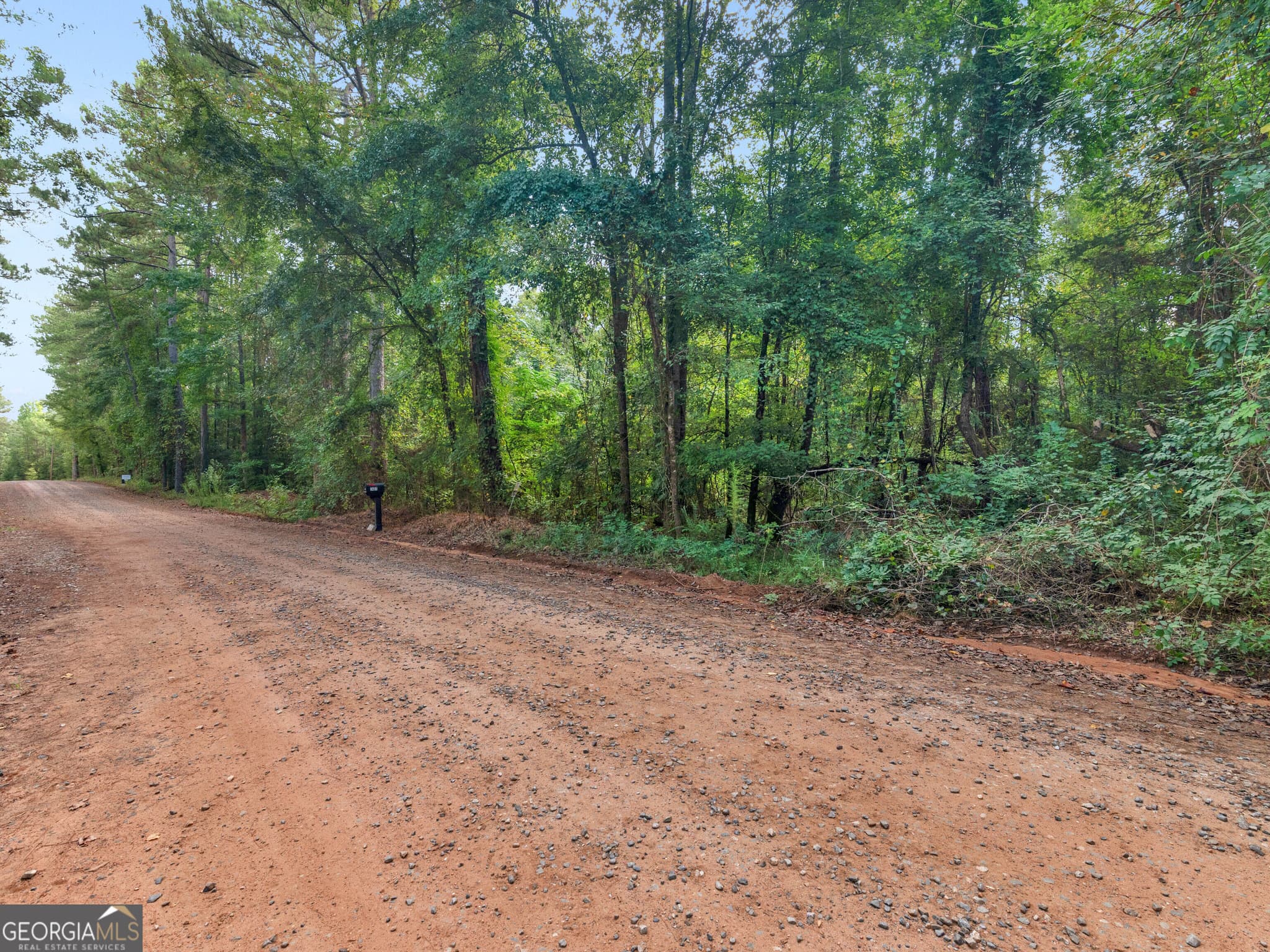 agriculture for sale at 0 Montpelier Springs Road, Forsyth, GA 31029 — photo 2