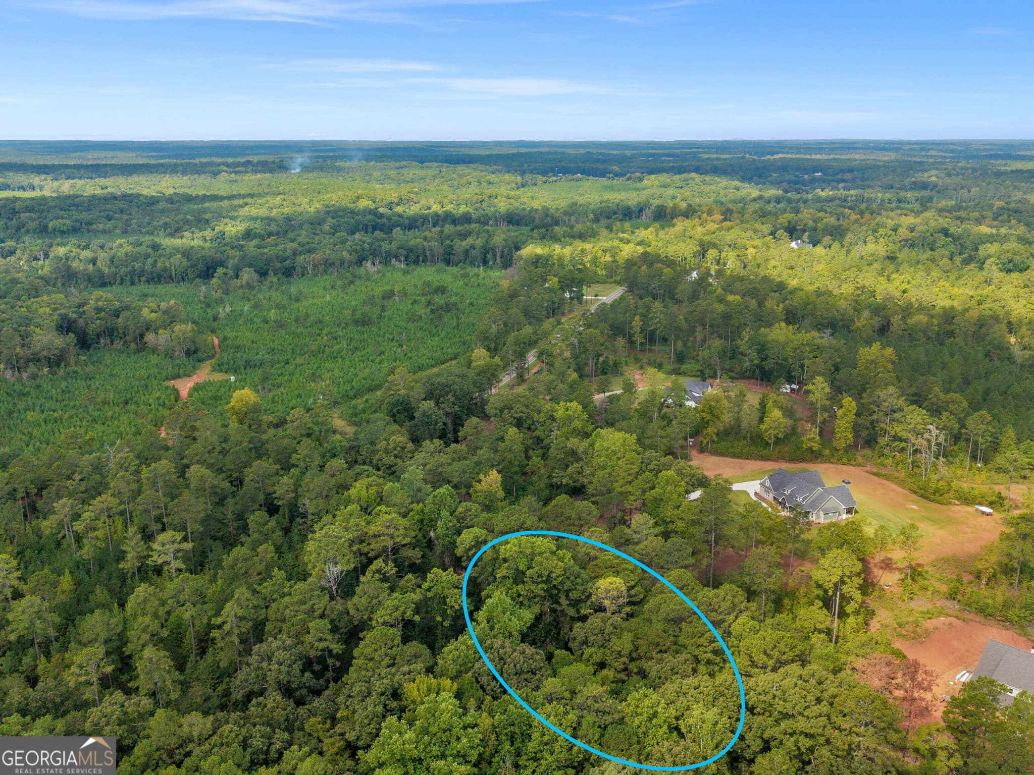agriculture for sale at 0 Montpelier Springs Road, Forsyth, GA 31029 — photo 6
